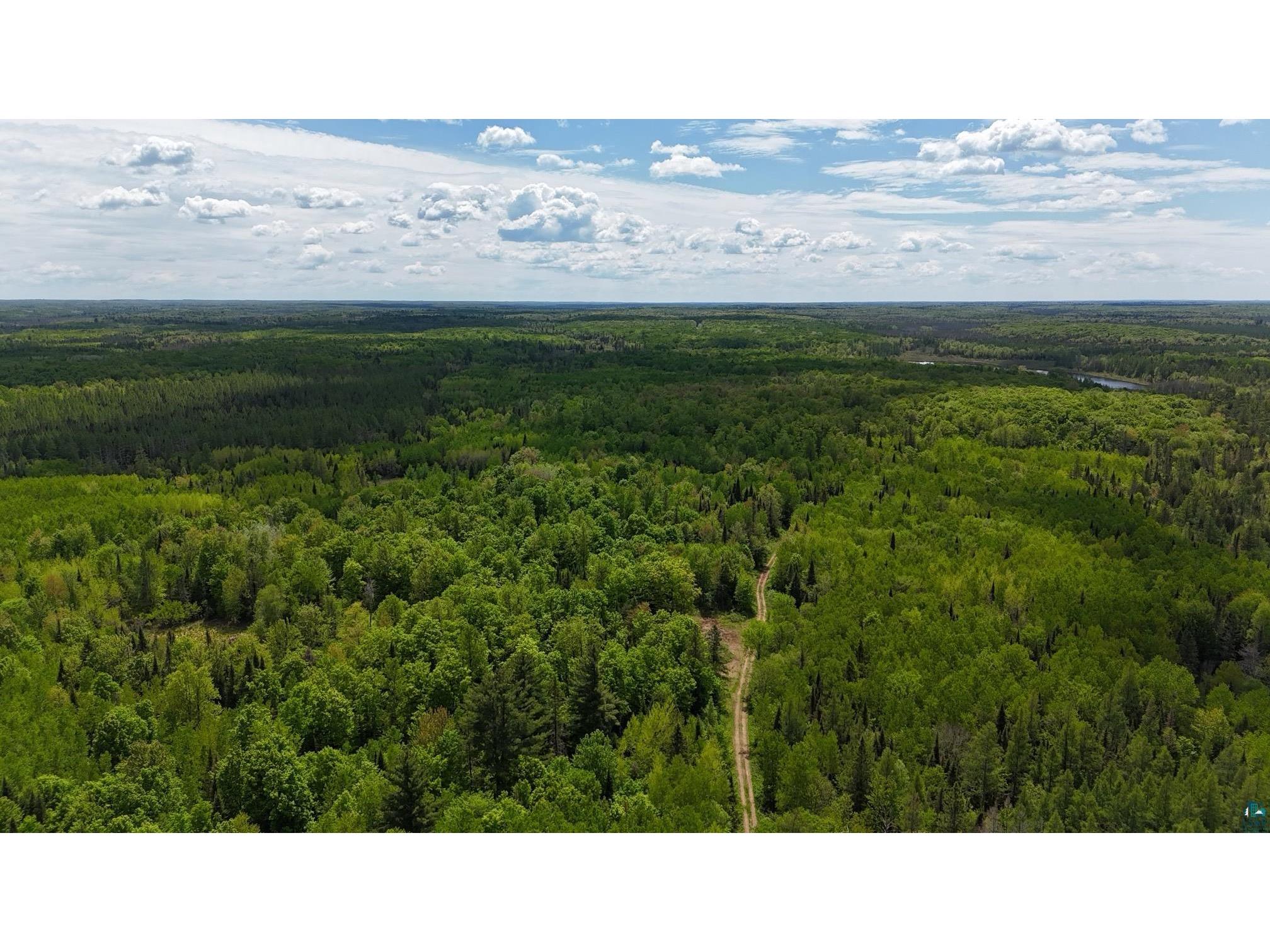 119 Acres Near Mertig Rd Shanagolden WI 54806 6119812 image5