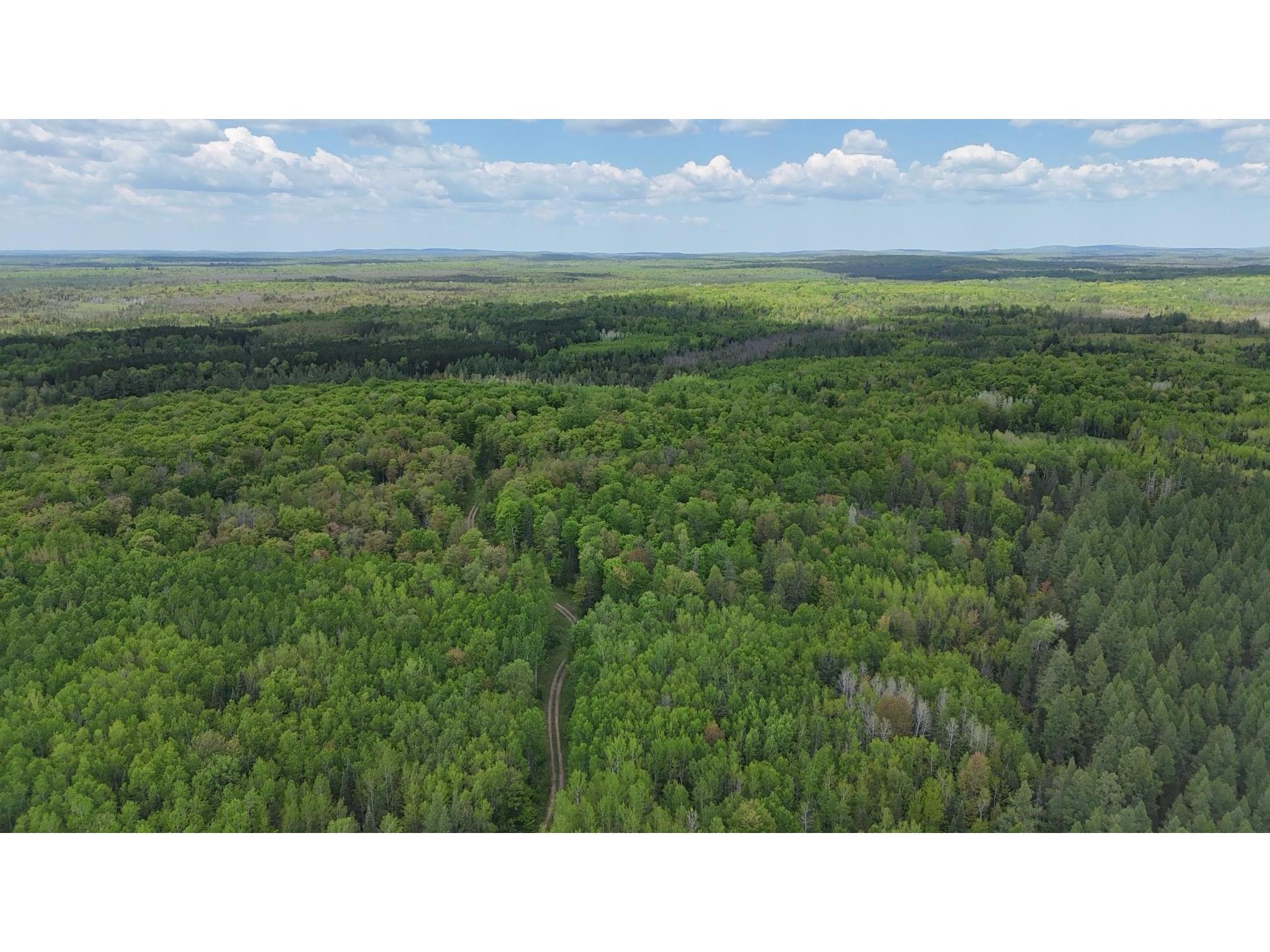 119 Acres Near Mertig Rd Shanagolden WI 54806 6119812 image7