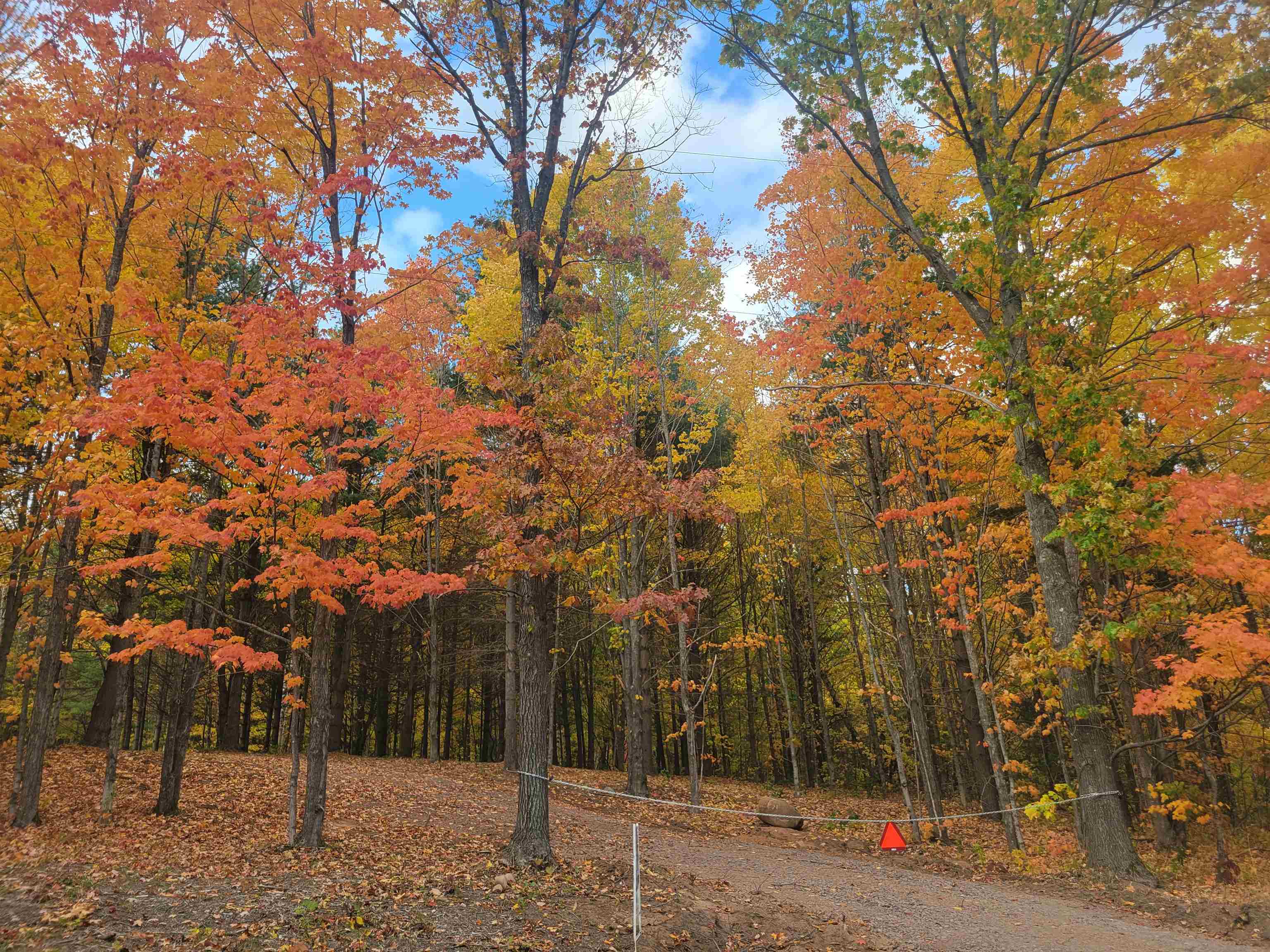 11xxx Old Military Rd Bayfield WI 54814 6122267 image1