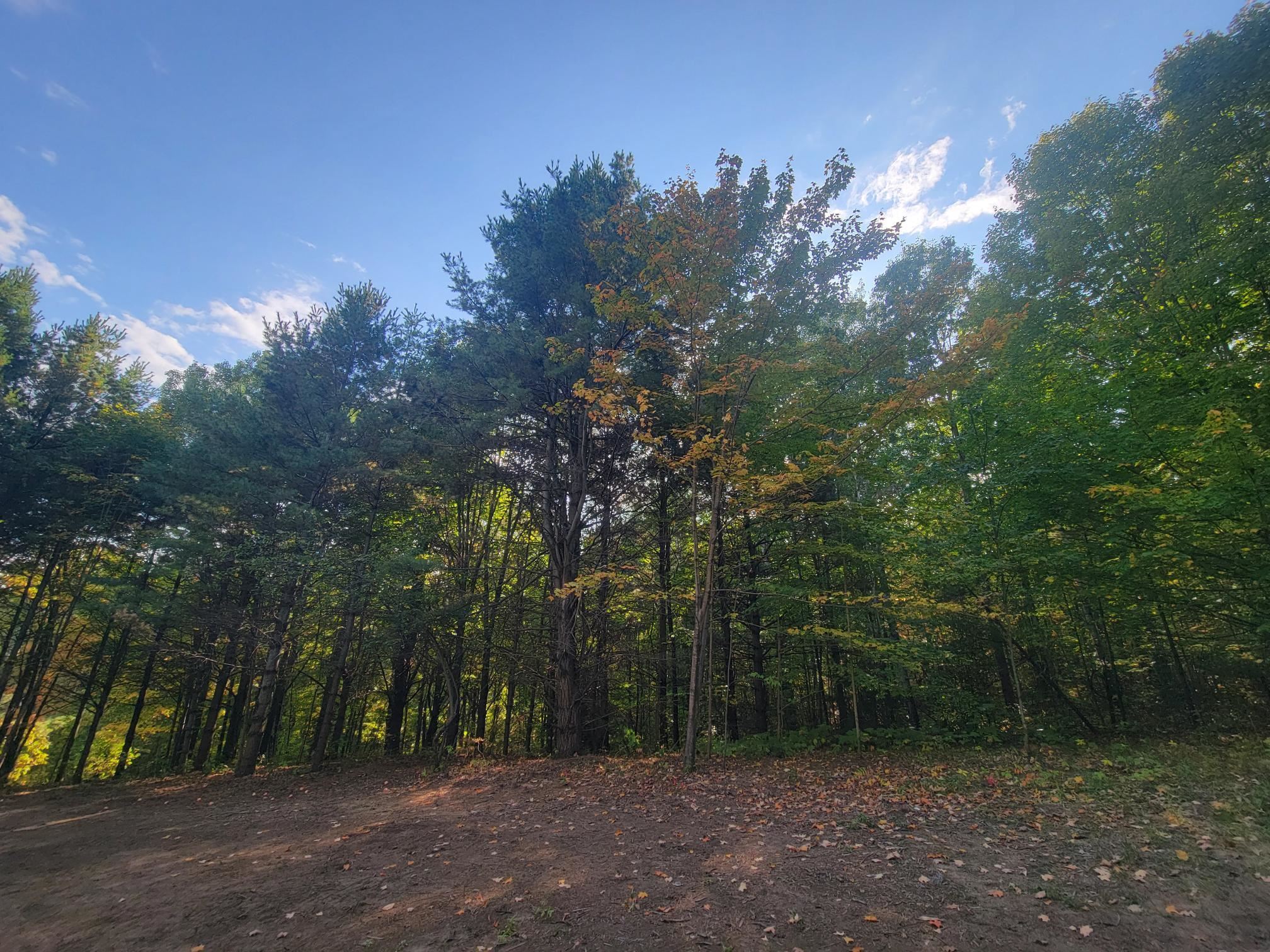 11xxx Old Military Rd Bayfield WI 54814 6122267 image10