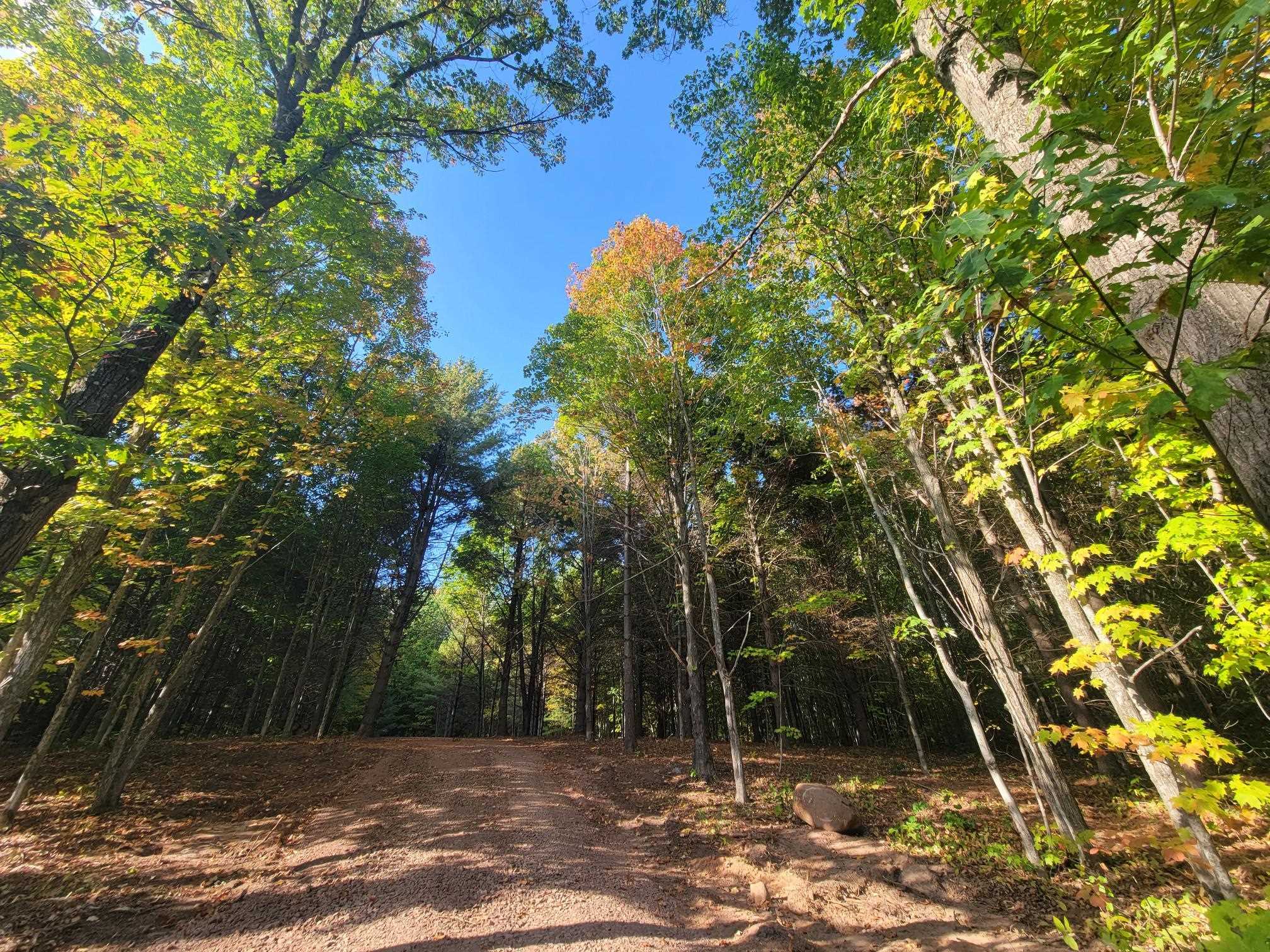 11xxx Old Military Rd Bayfield WI 54814 6122267 image13