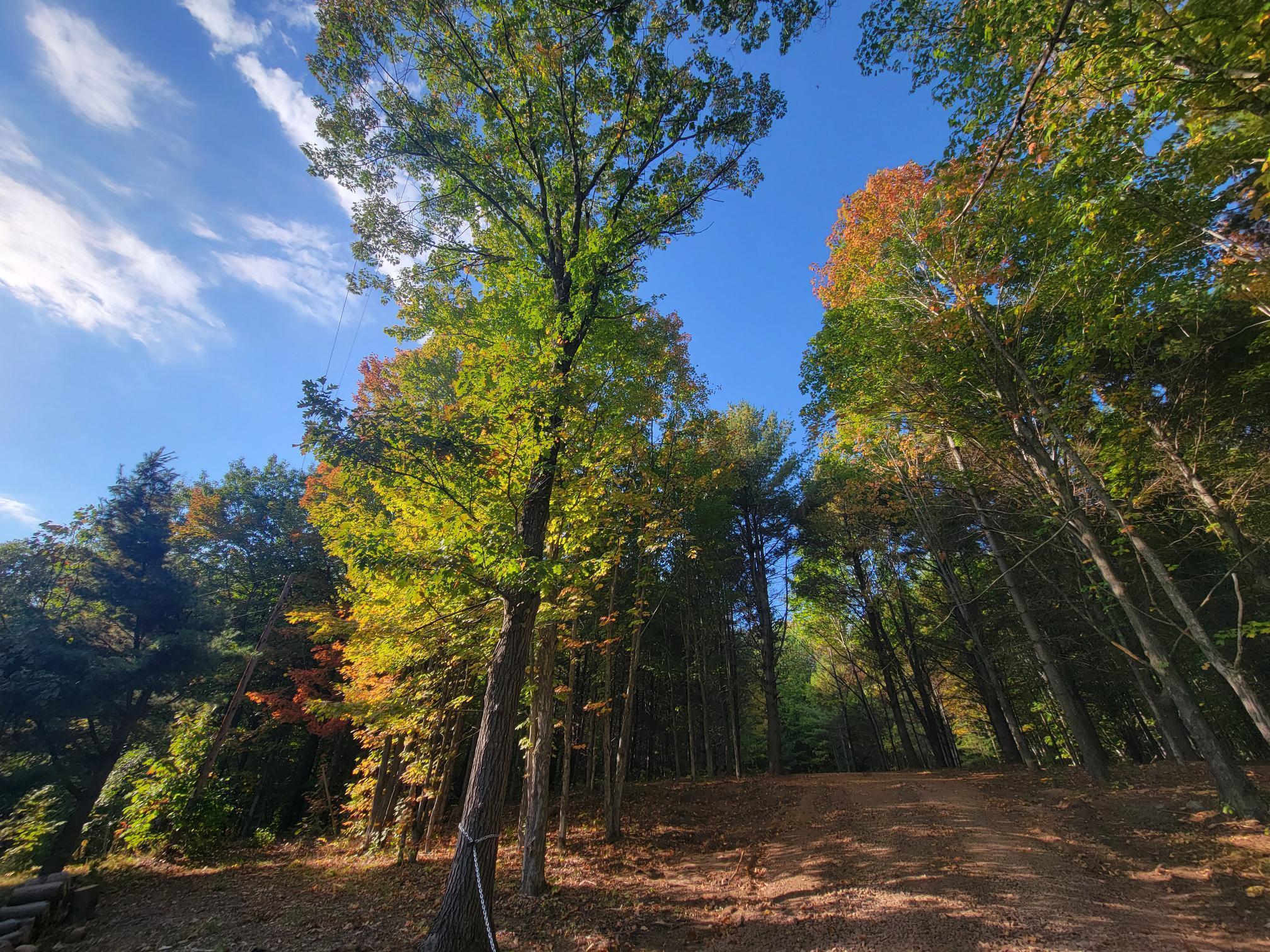 11xxx Old Military Rd Bayfield WI 54814 6122267 image15