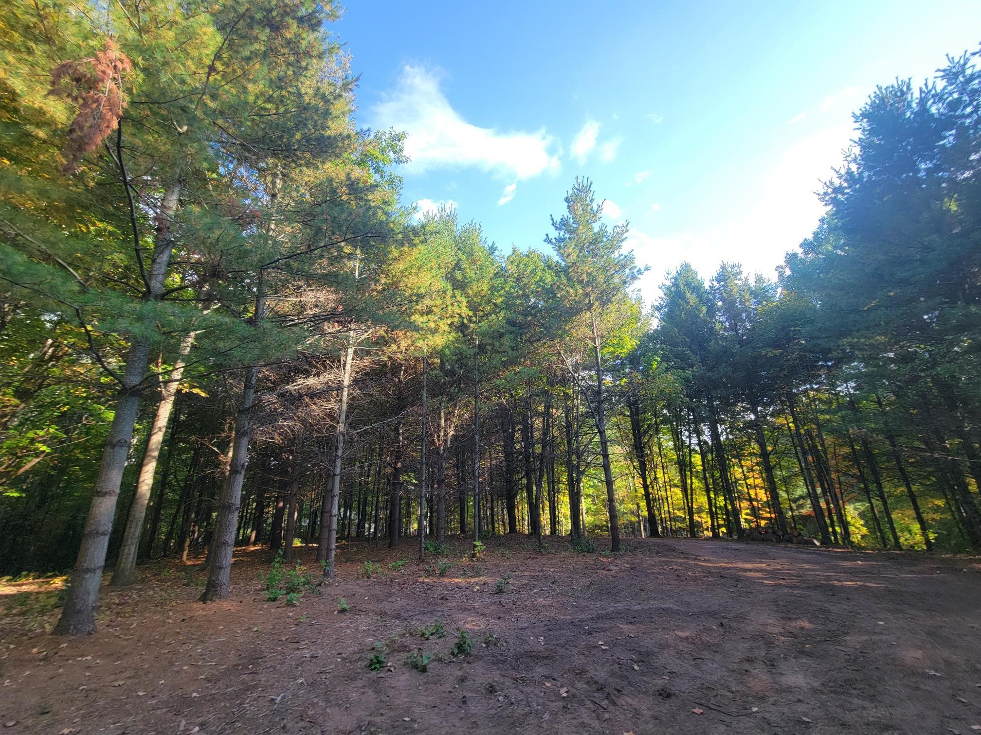 11xxx Old Military Rd Bayfield WI 54814 6122267 image21