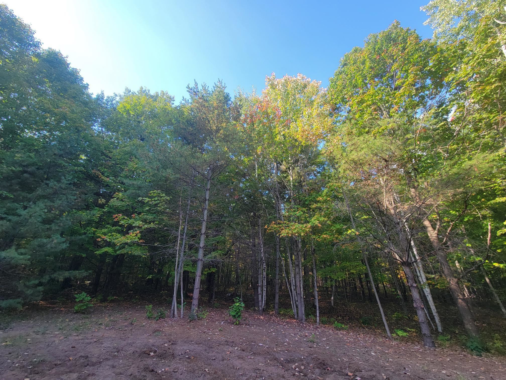 11xxx Old Military Rd Bayfield WI 54814 6122267 image22