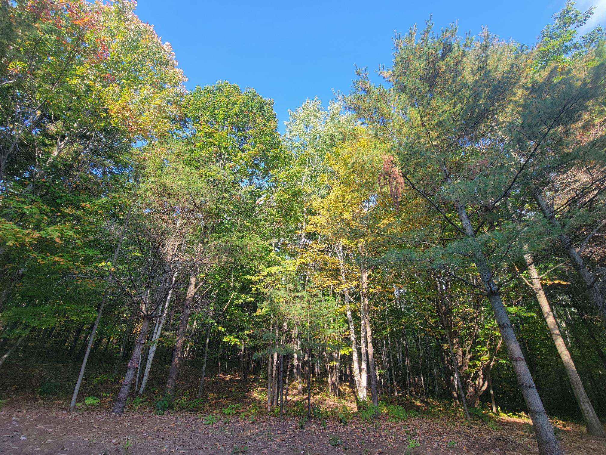 11xxx Old Military Rd Bayfield WI 54814 6122267 image23