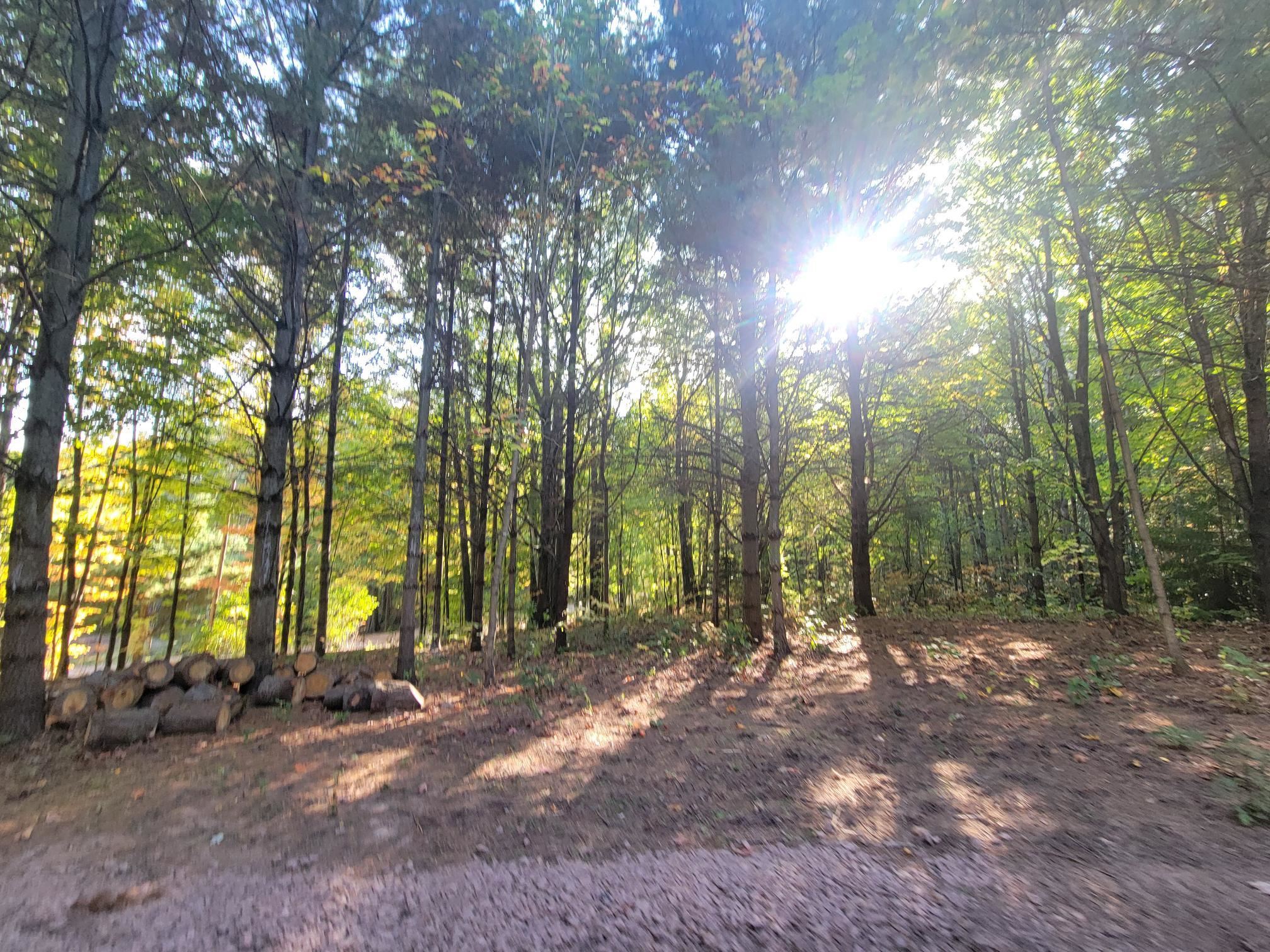 11xxx Old Military Rd Bayfield WI 54814 6122267 image29