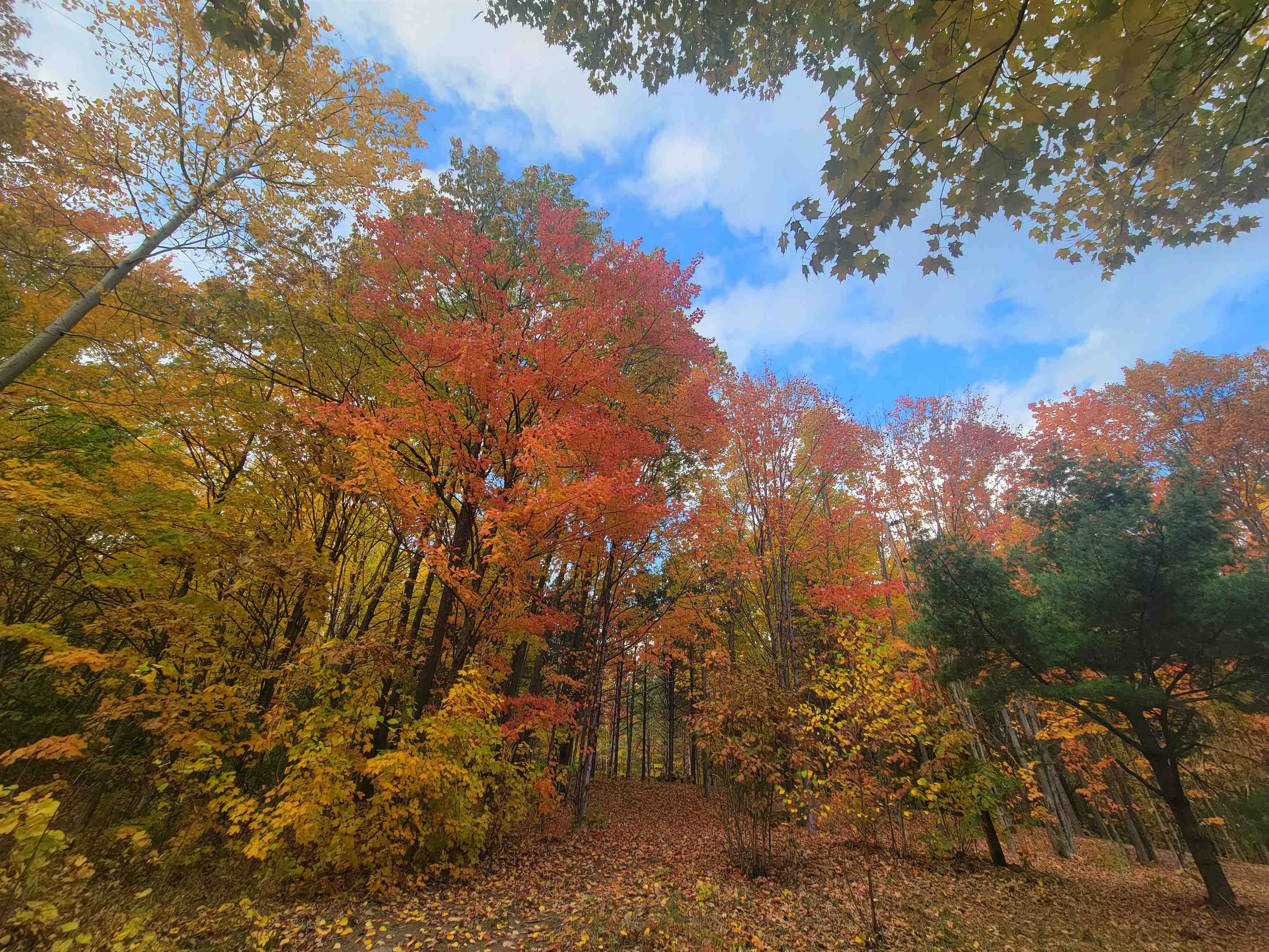 11xxx Old Military Rd Bayfield WI 54814 6122267 image3