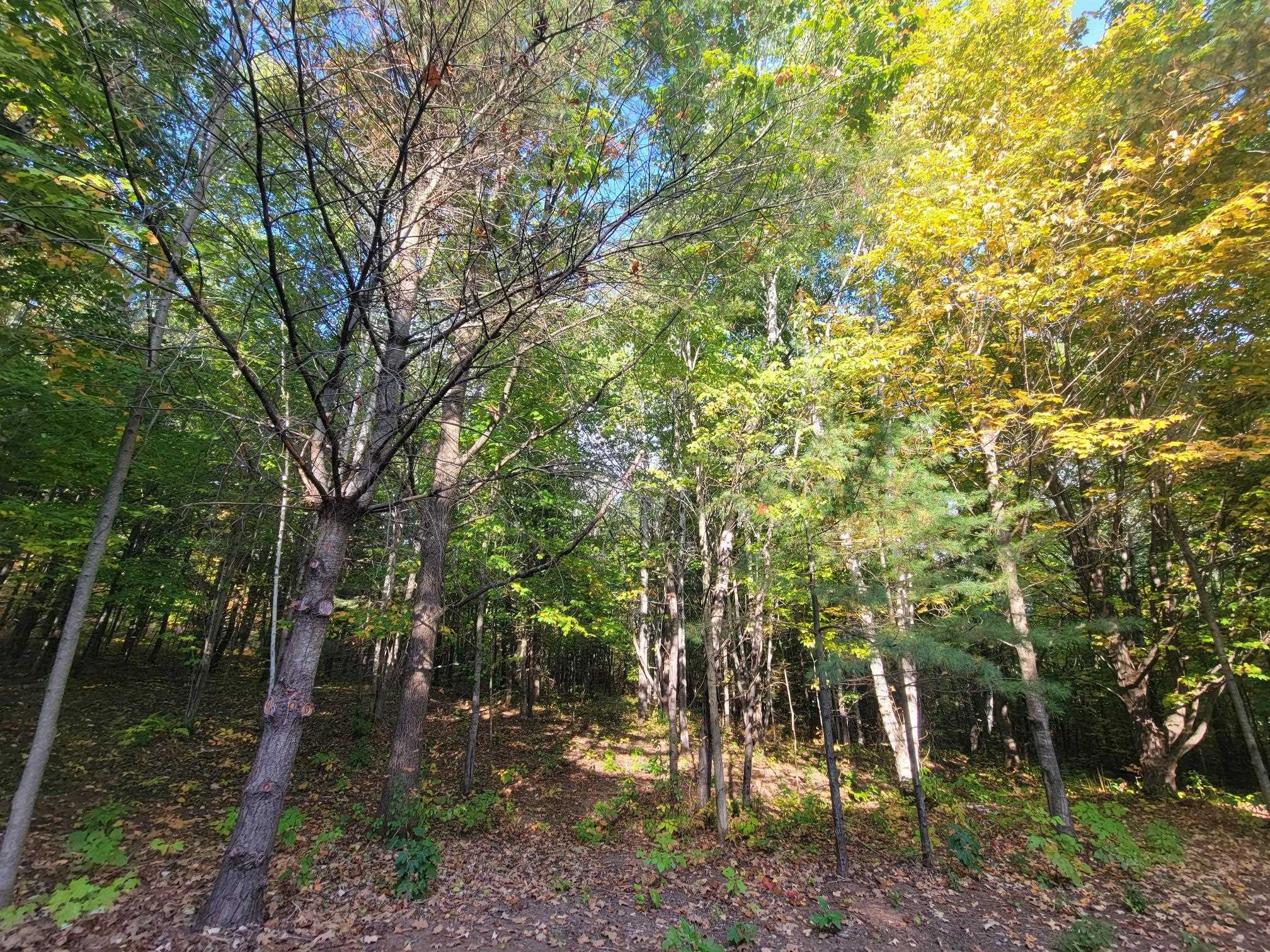 11xxx Old Military Rd Bayfield WI 54814 6122267 image30