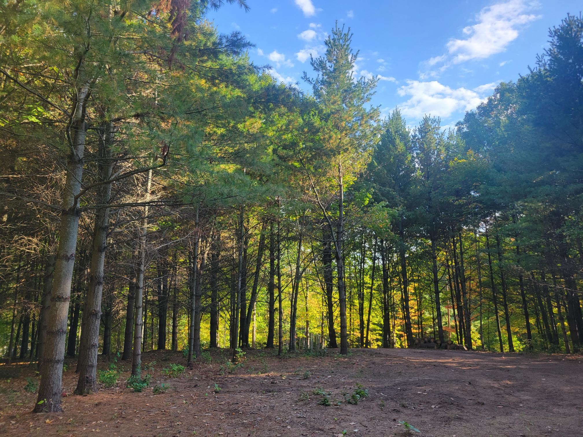 11xxx Old Military Rd Bayfield WI 54814 6122267 image31