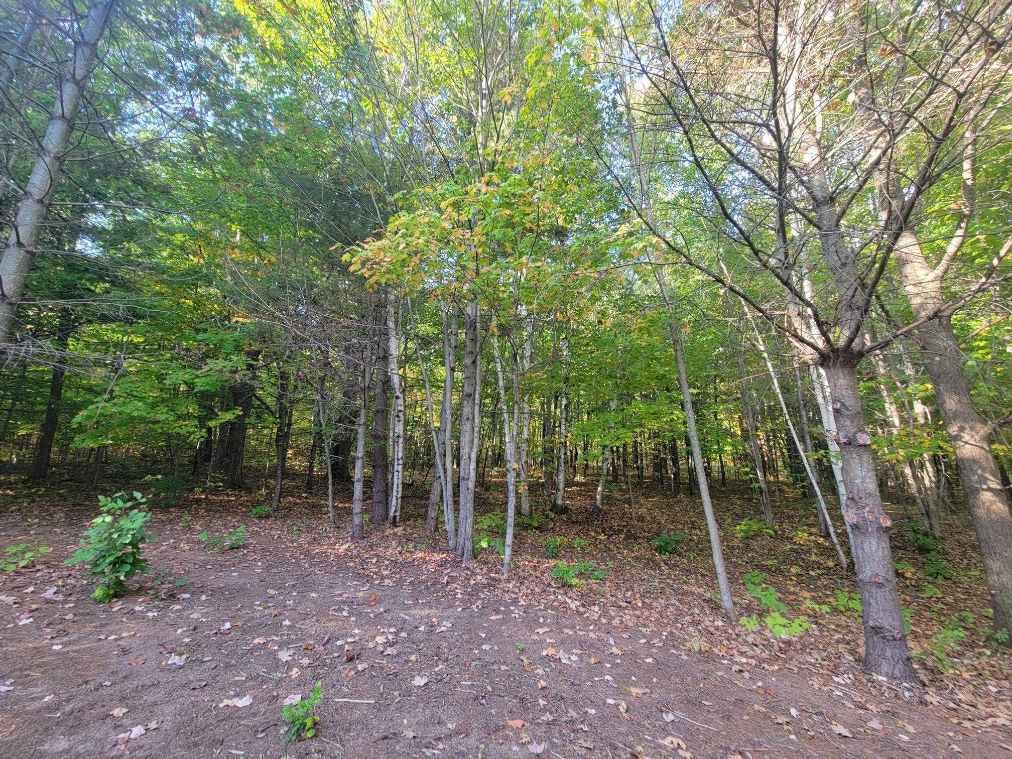 11xxx Old Military Rd Bayfield WI 54814 6122267 image32