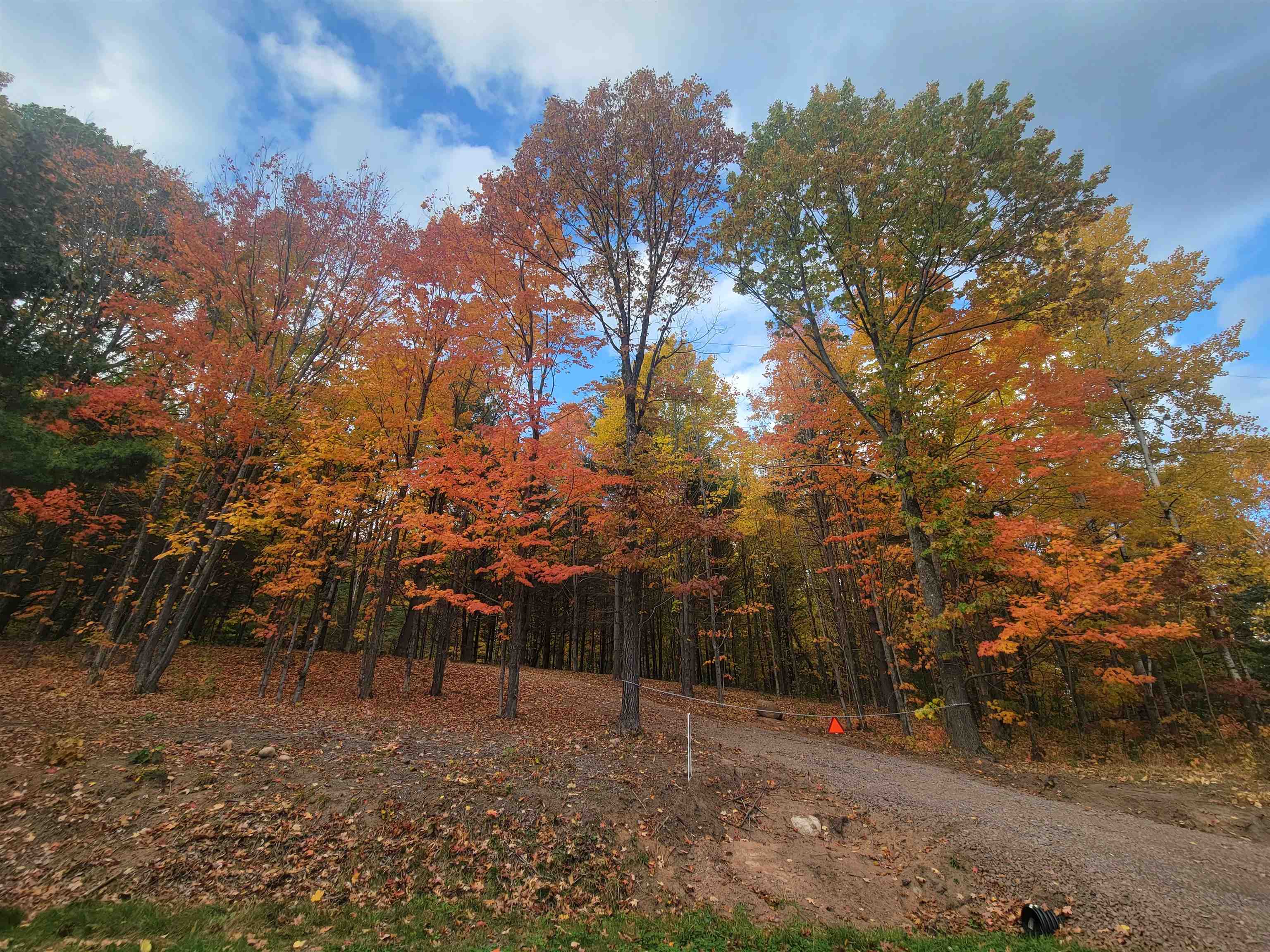 11xxx Old Military Rd Bayfield WI 54814 6122267 image5