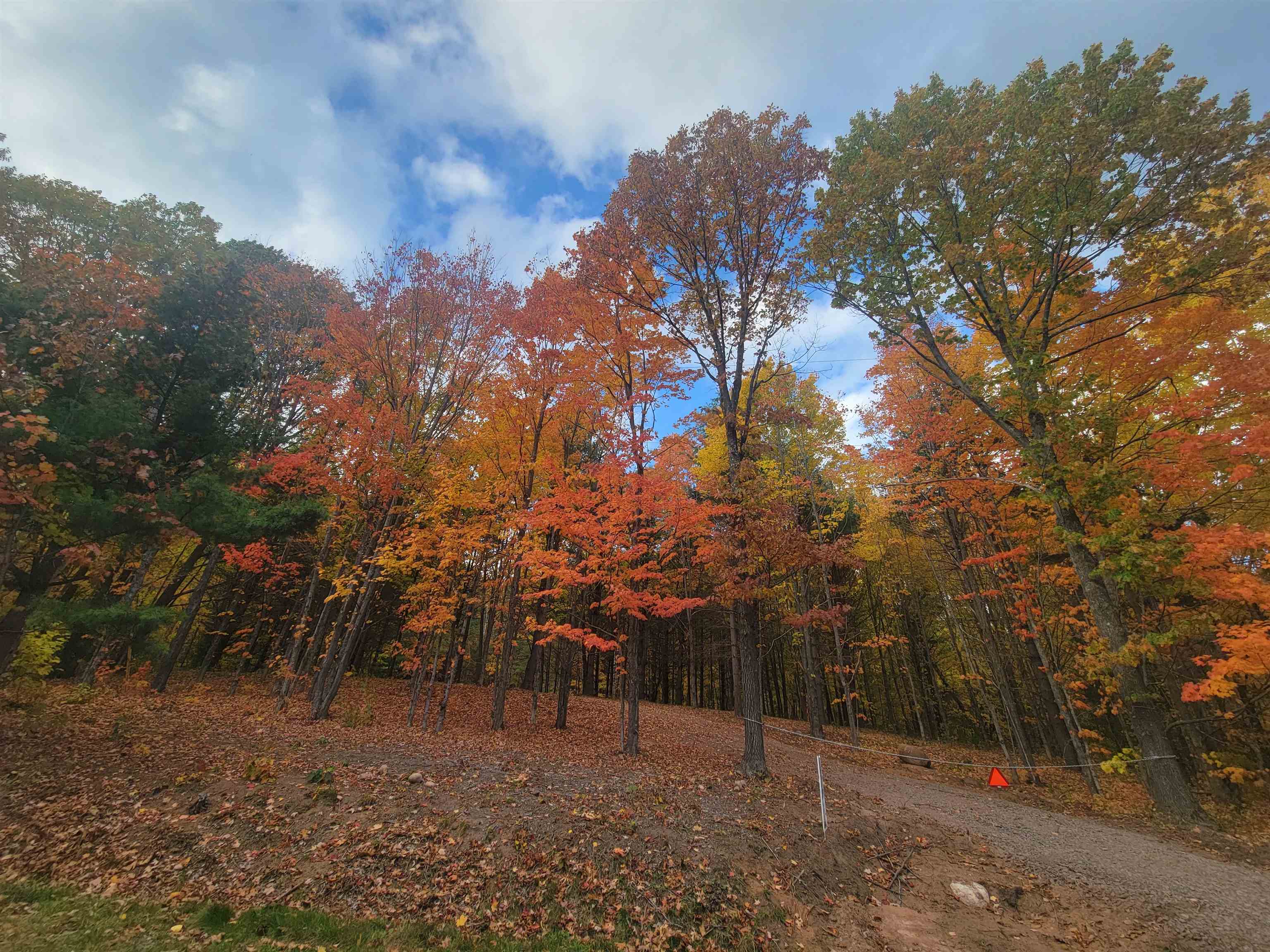 11xxx Old Military Rd Bayfield WI 54814 6122267 image6