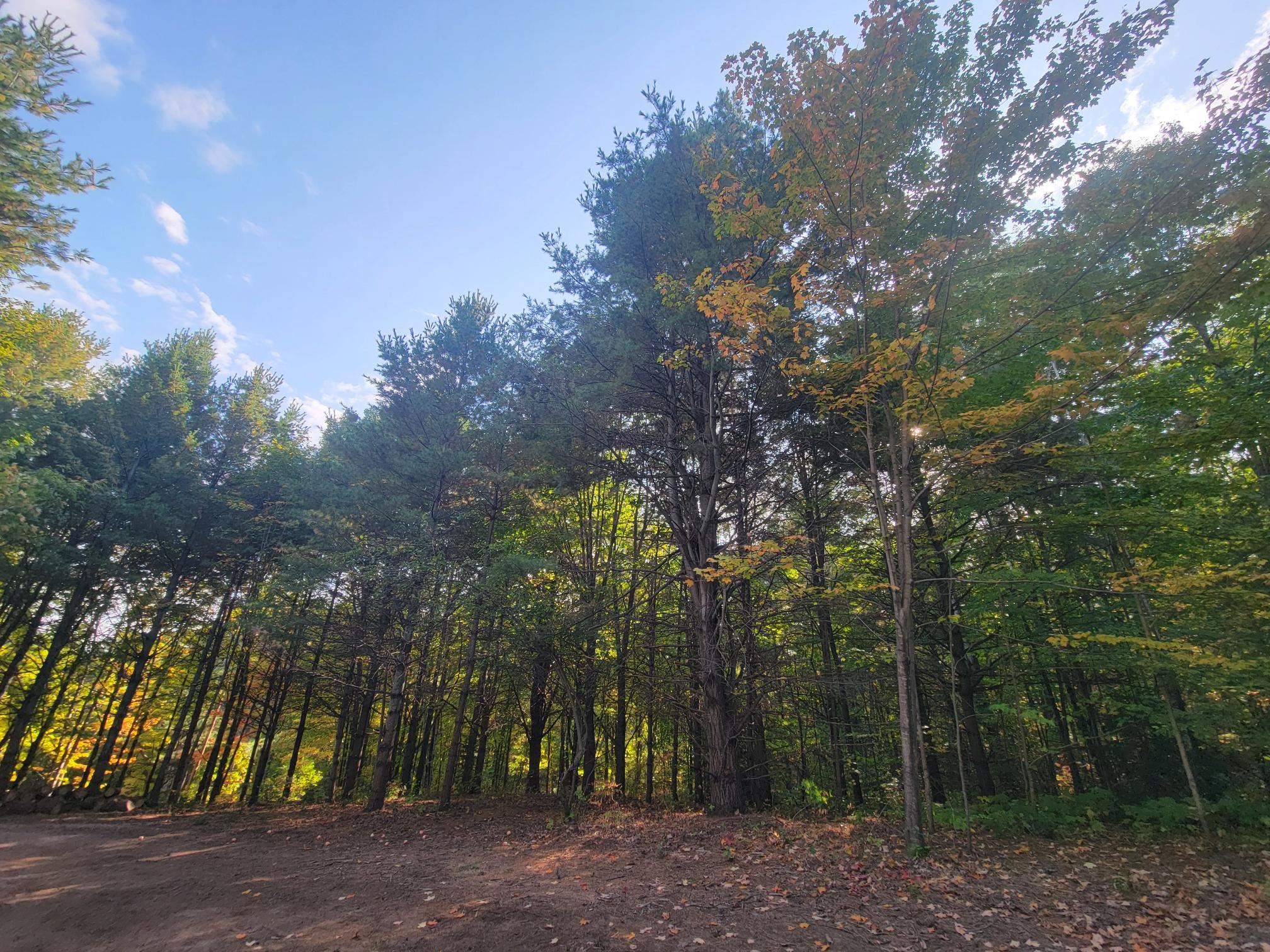 11xxx Old Military Rd Bayfield WI 54814 6122267 image8