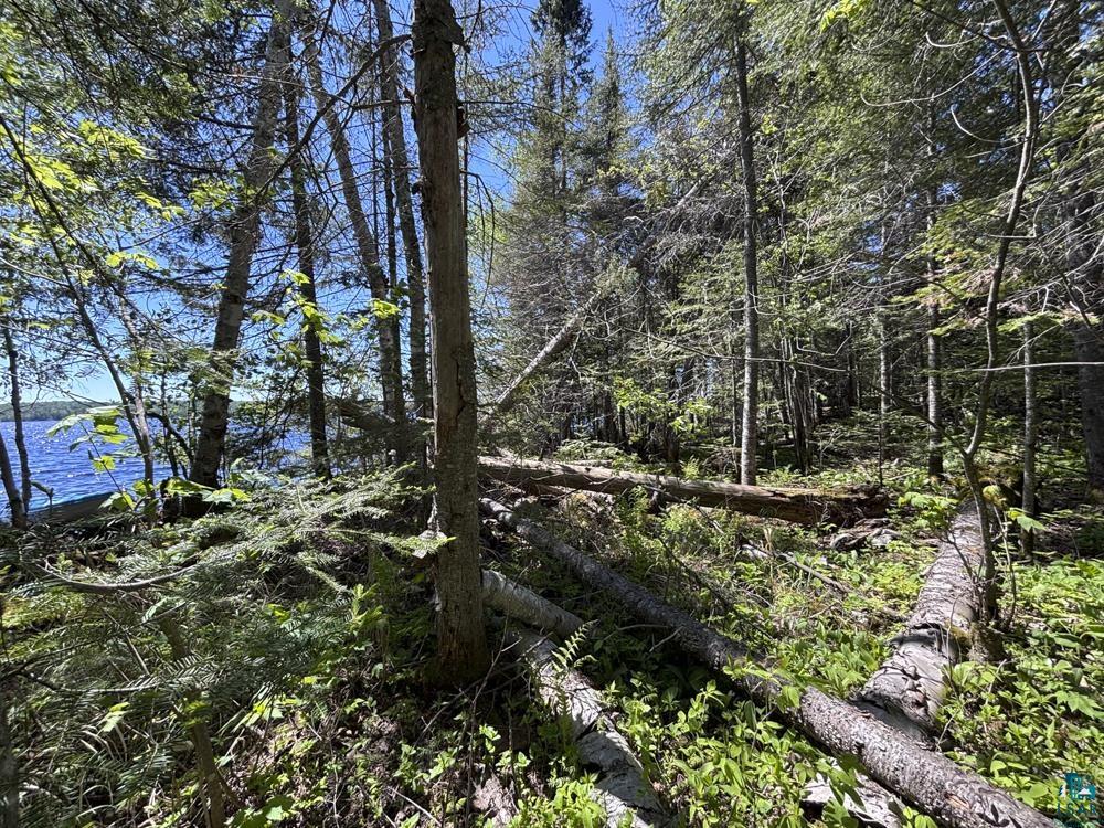 12 Wesley Ln Grand Marais MN 55604 - Devil Track 6125905 image10