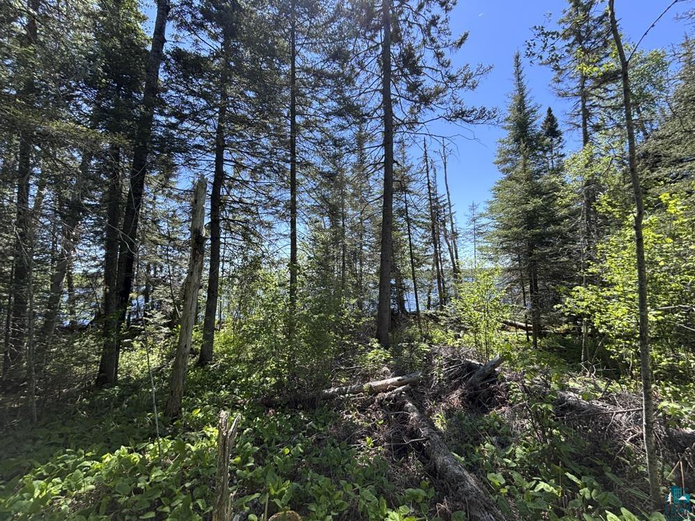 12 Wesley Ln Grand Marais MN 55604 - Devil Track 6125905 image11