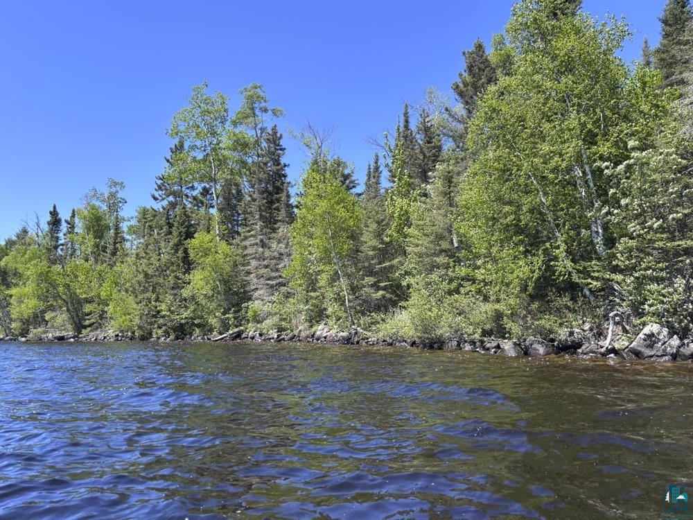 12 Wesley Ln Grand Marais MN 55604 - Devil Track 6125905 image19