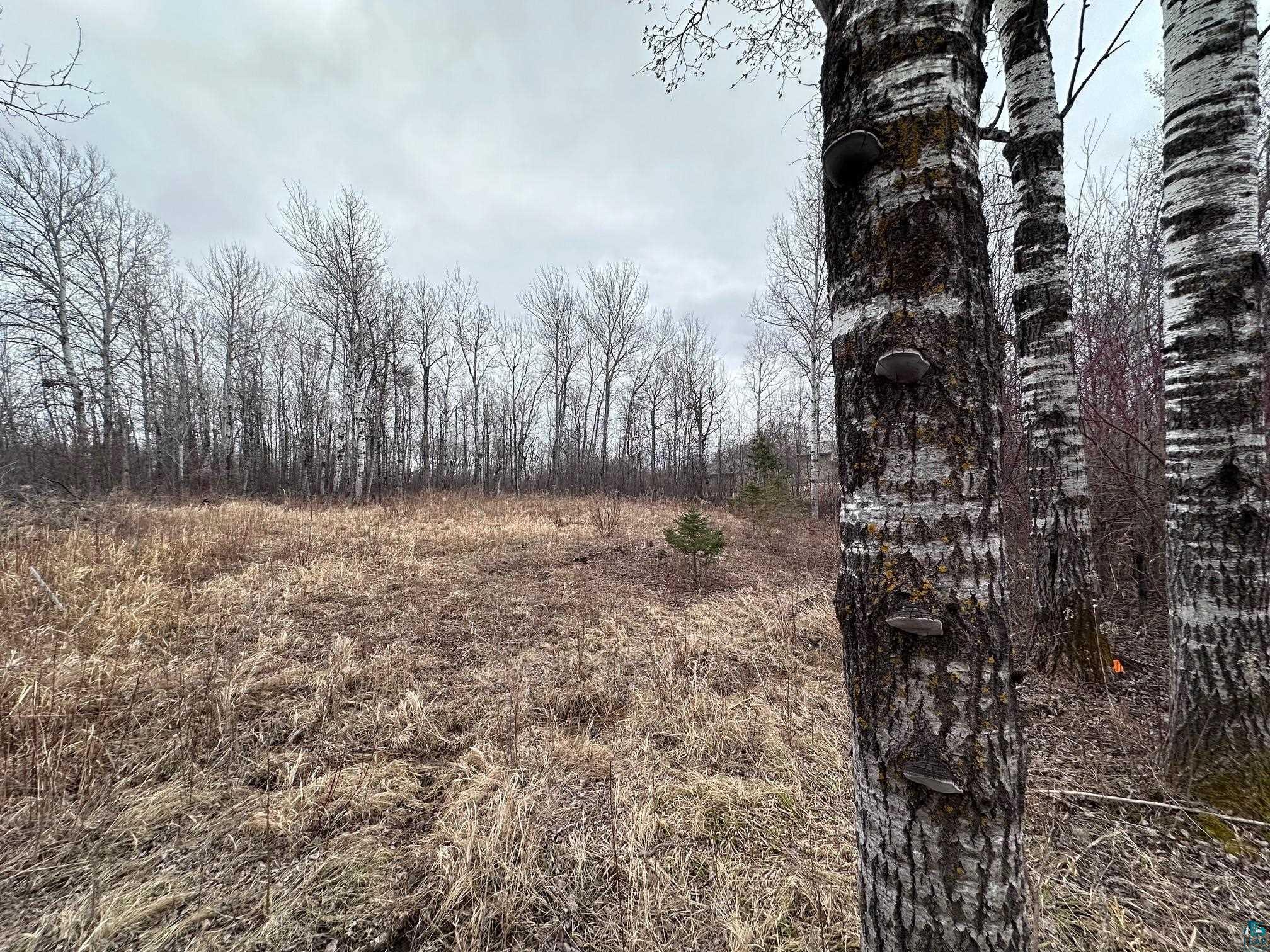 1209 39th Ave E Superior WI 54880 6118728 image6