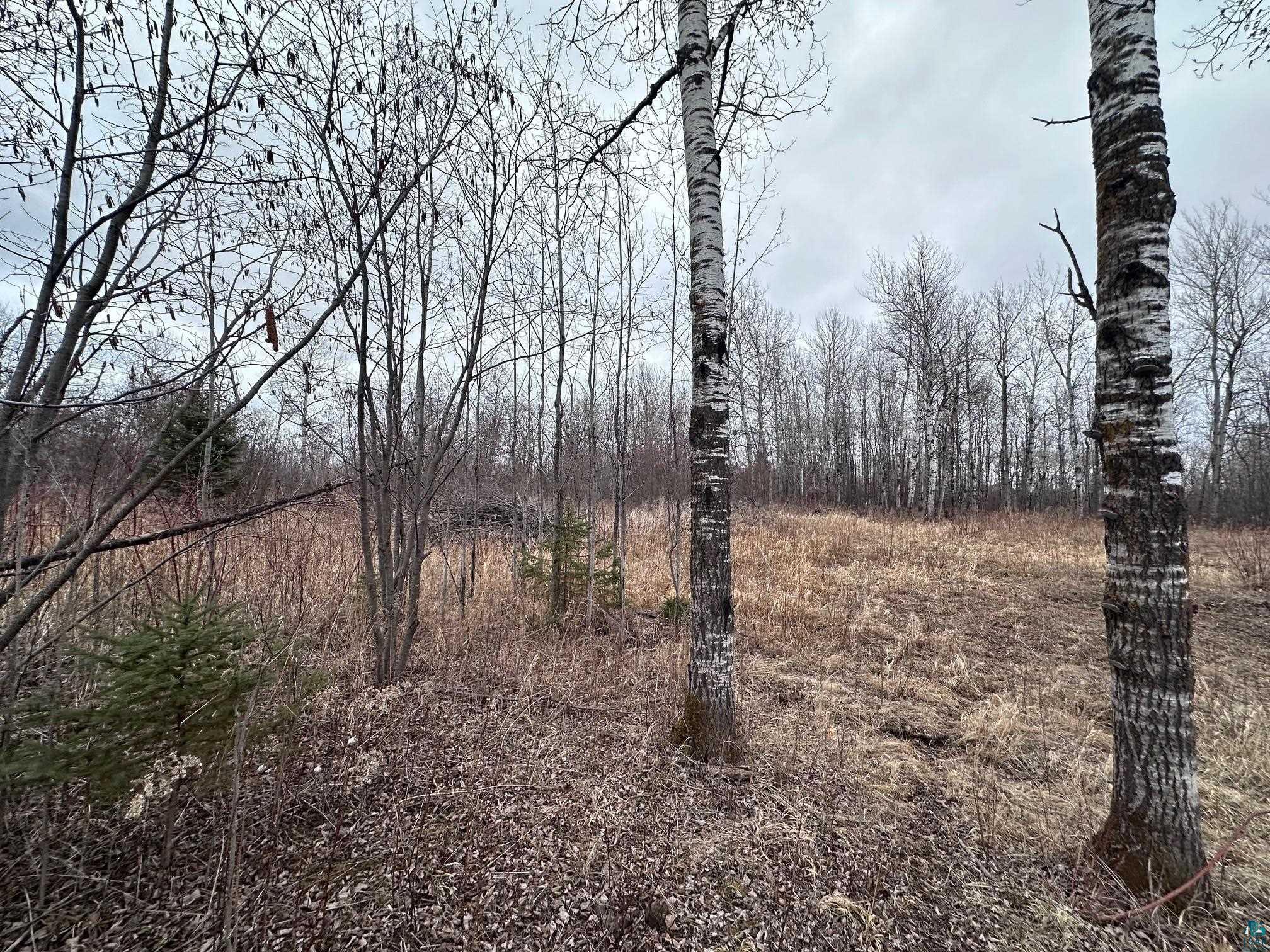 1209 39th Ave E Superior WI 54880 6118728 image7