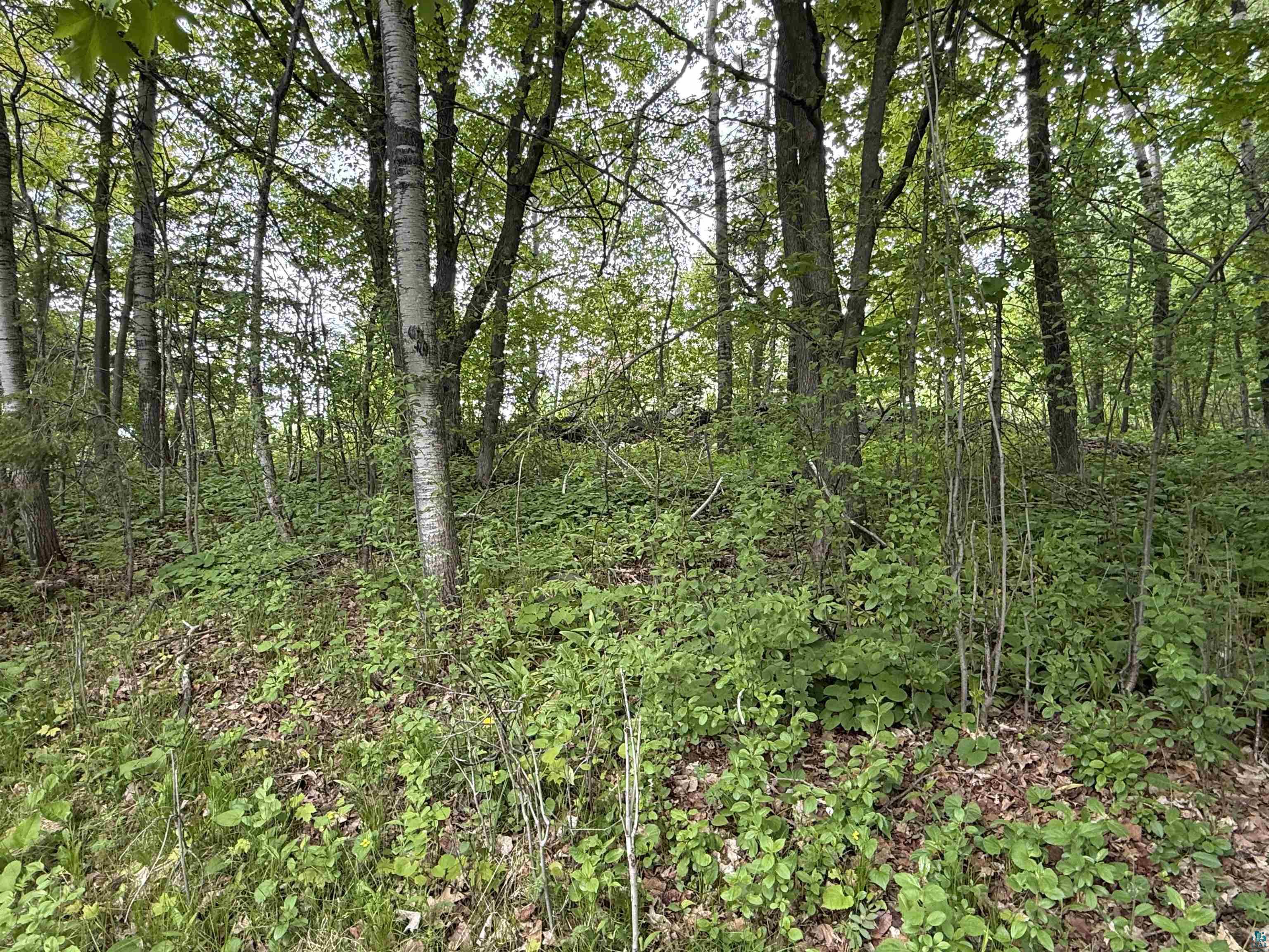 121 W Buffalo St Duluth MN 55811 6125918 image38