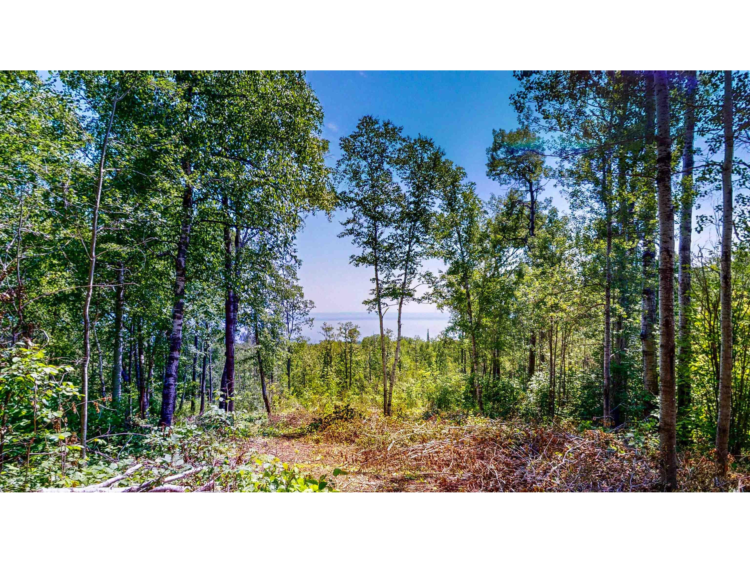 122 County Road 6 Grand Marais MN 55604 6120523 image1