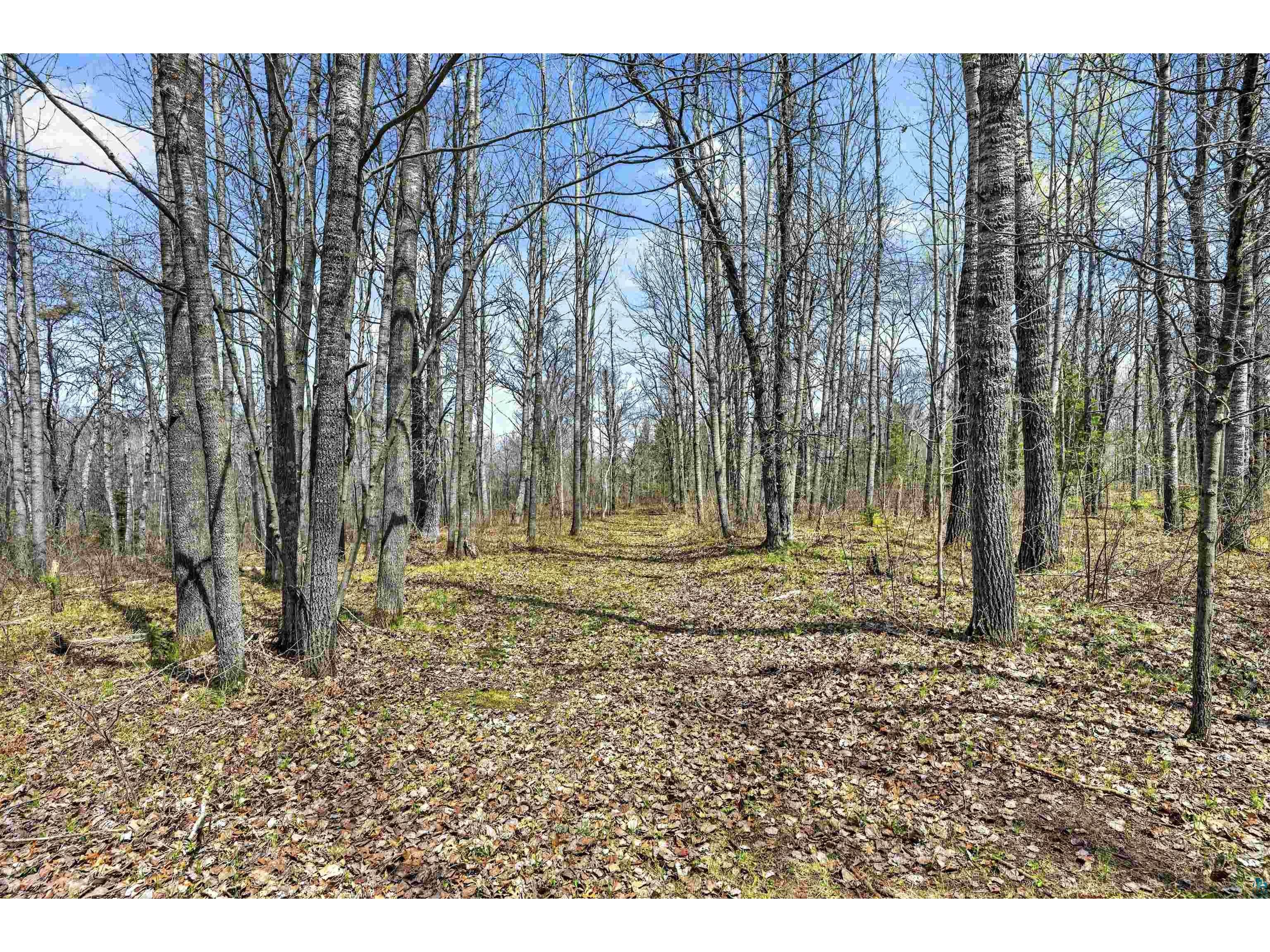 12235 E Crooked Lake Rd Gordon WI 54838 6125117 image39