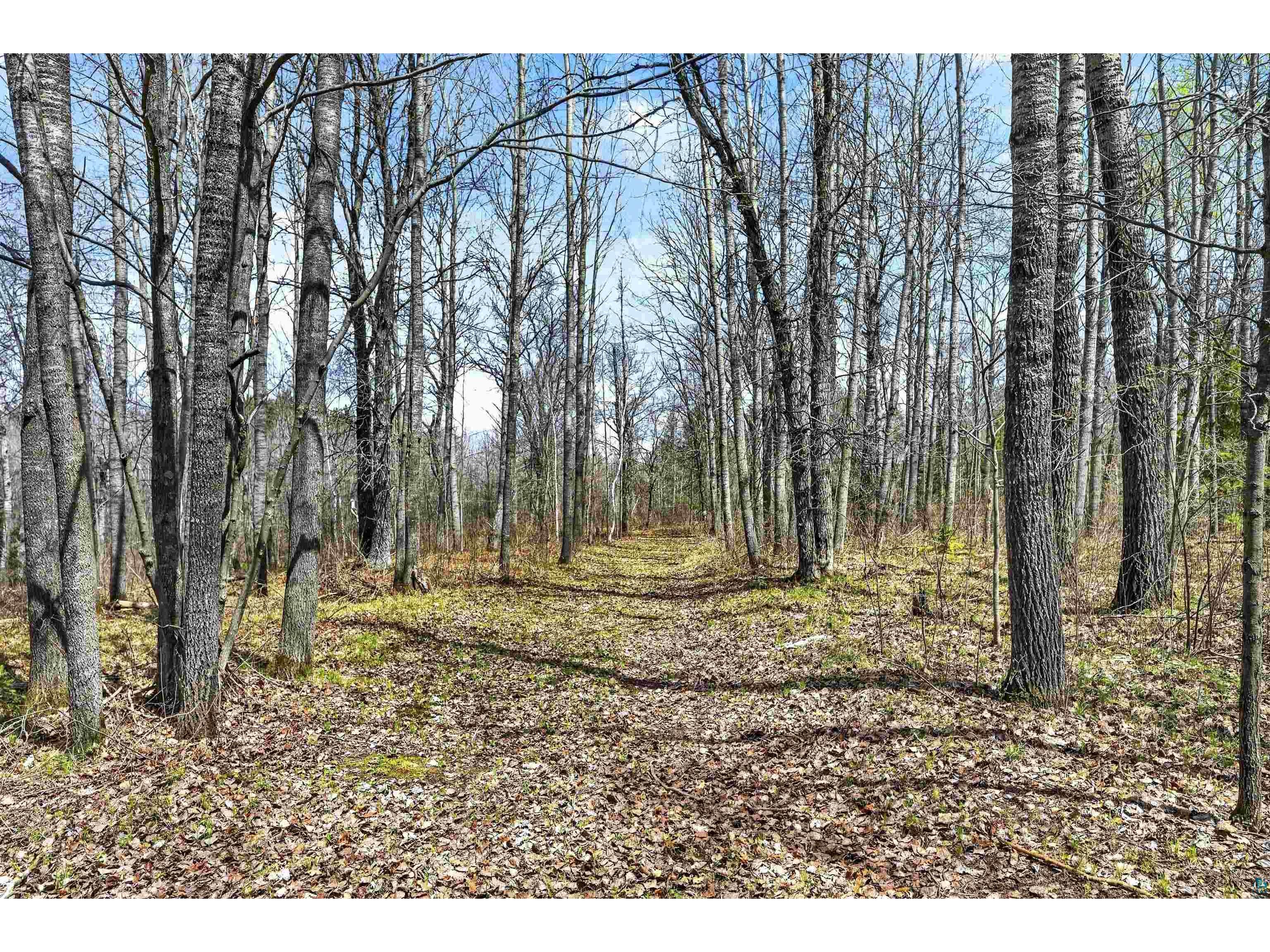 12235 E Crooked Lake Rd Gordon WI 54838 6125117 image40