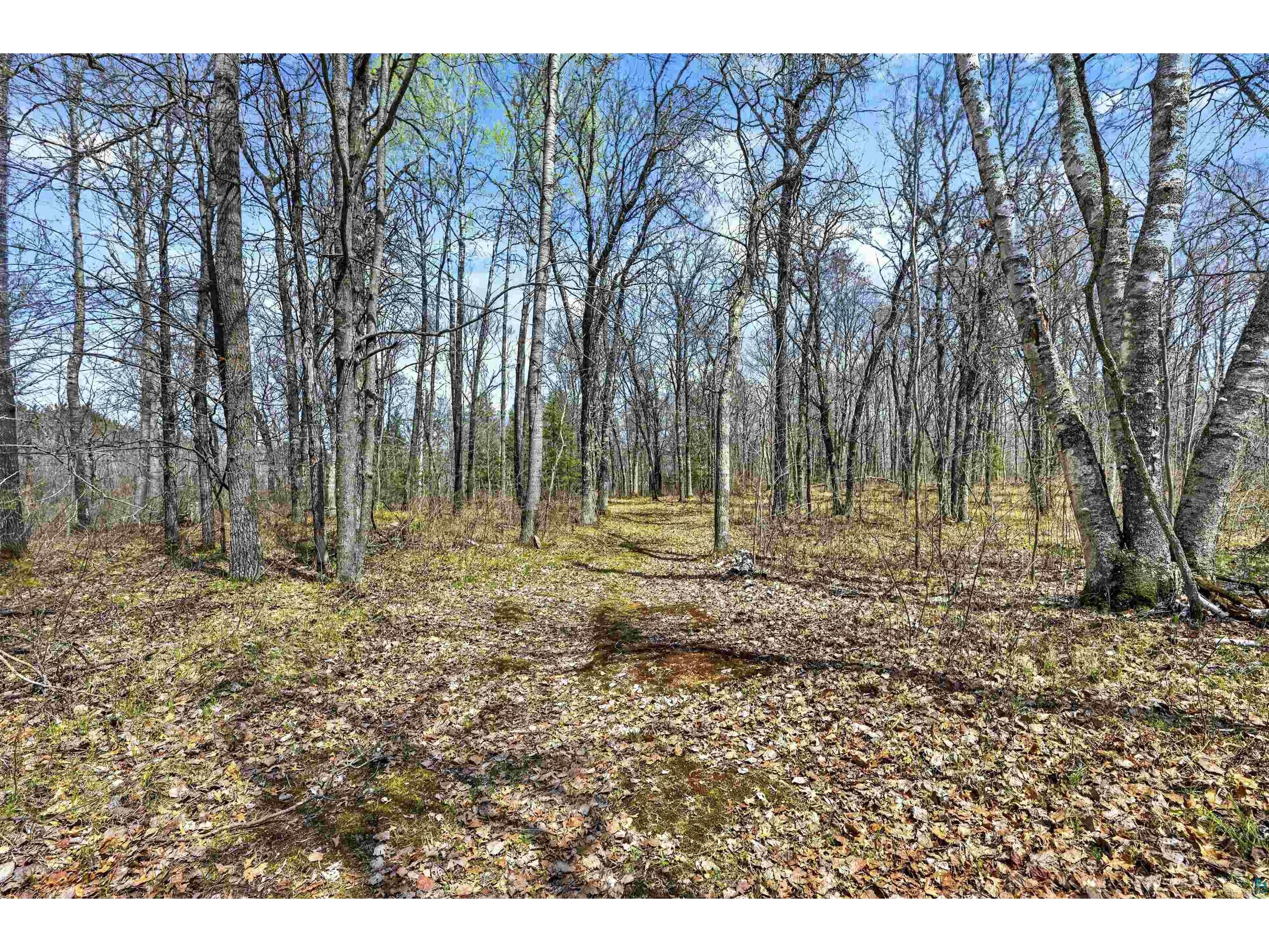 12235 E Crooked Lake Rd Gordon WI 54838 6125117 image42