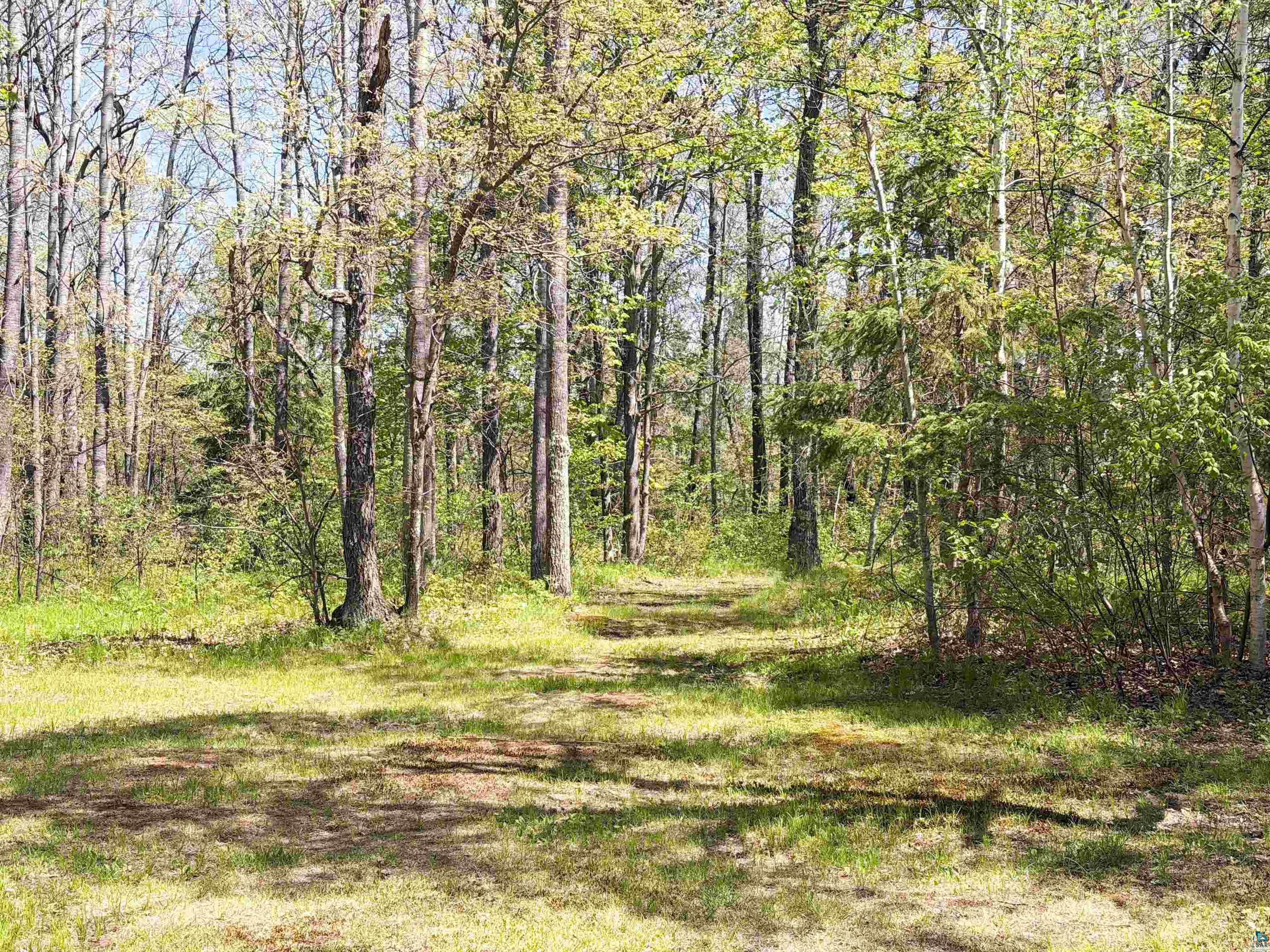 12235 E Crooked Lake Rd Gordon WI 54838 6125117 image51