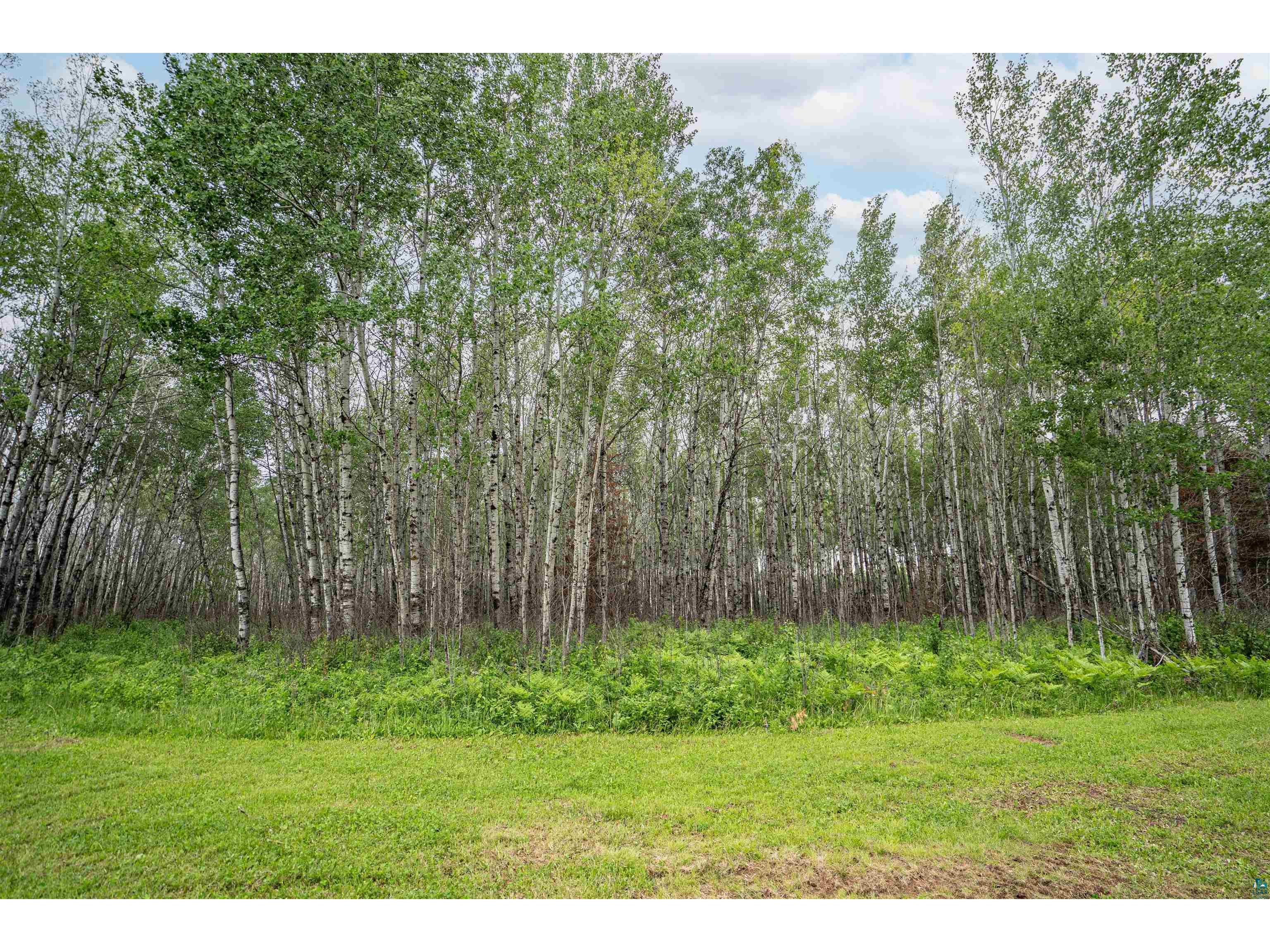 1249 Gabbro Rd Brimson MN 55602 - Tommila Lake 6126011 image13