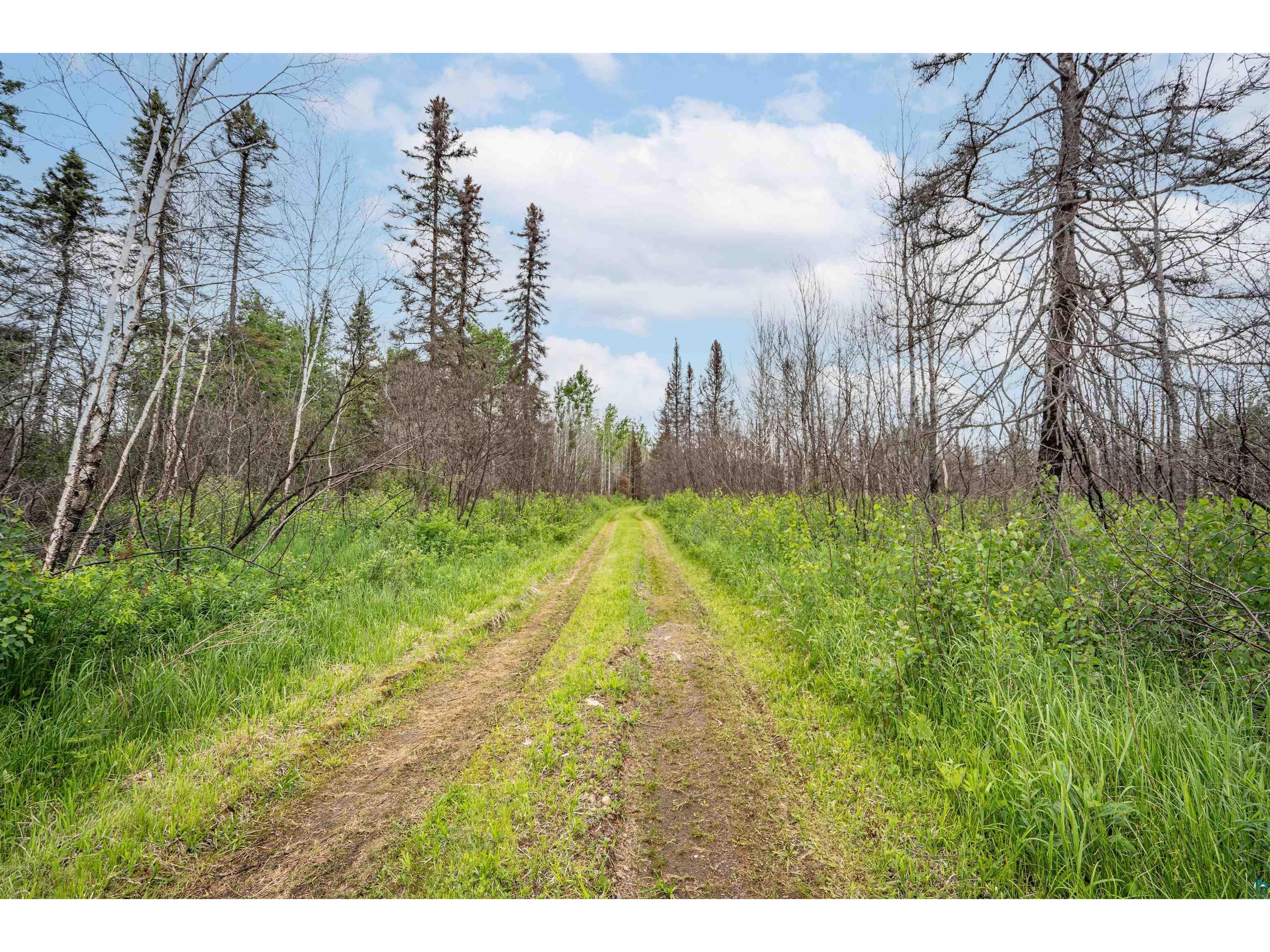 1249 Gabbro Rd Brimson MN 55602 - Tommila Lake 6126011 image20