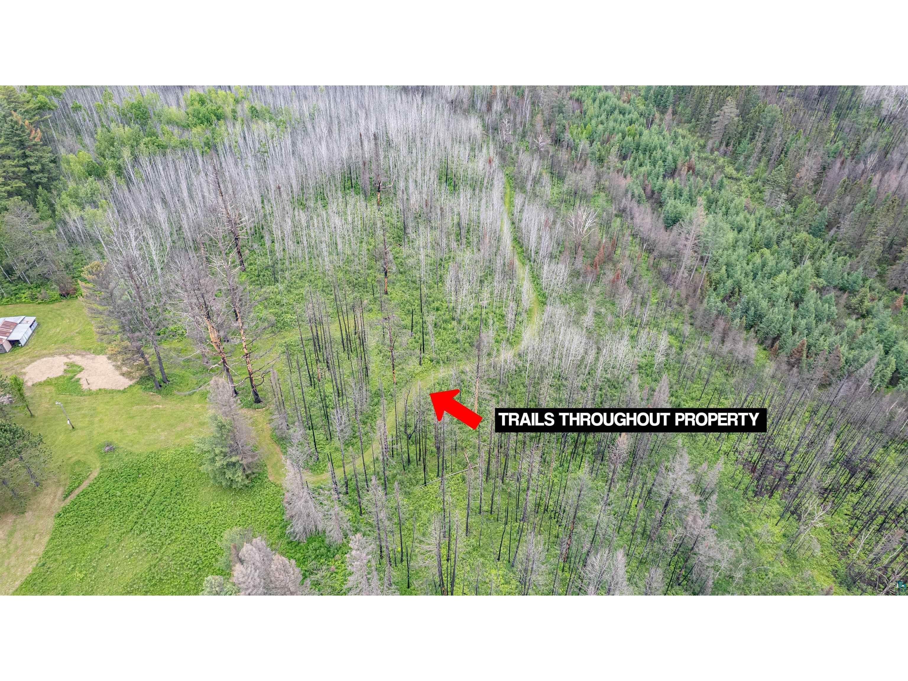1249 Gabbro Rd Brimson MN 55602 - Tommila Lake 6126011 image5