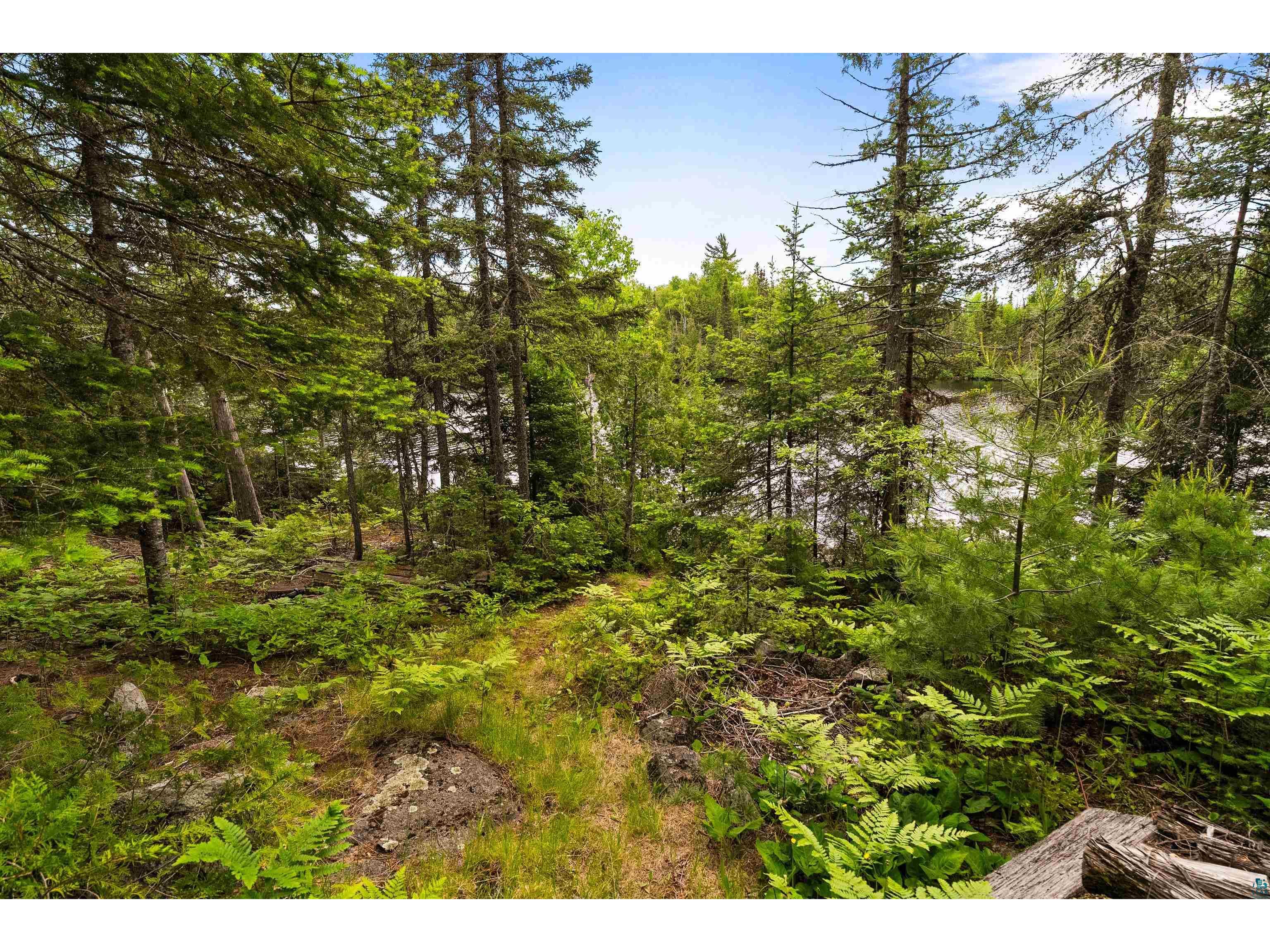 125 Voyageurs Point Rd Grand Marais MN 55604 - Poplar Lake 6126305 image39