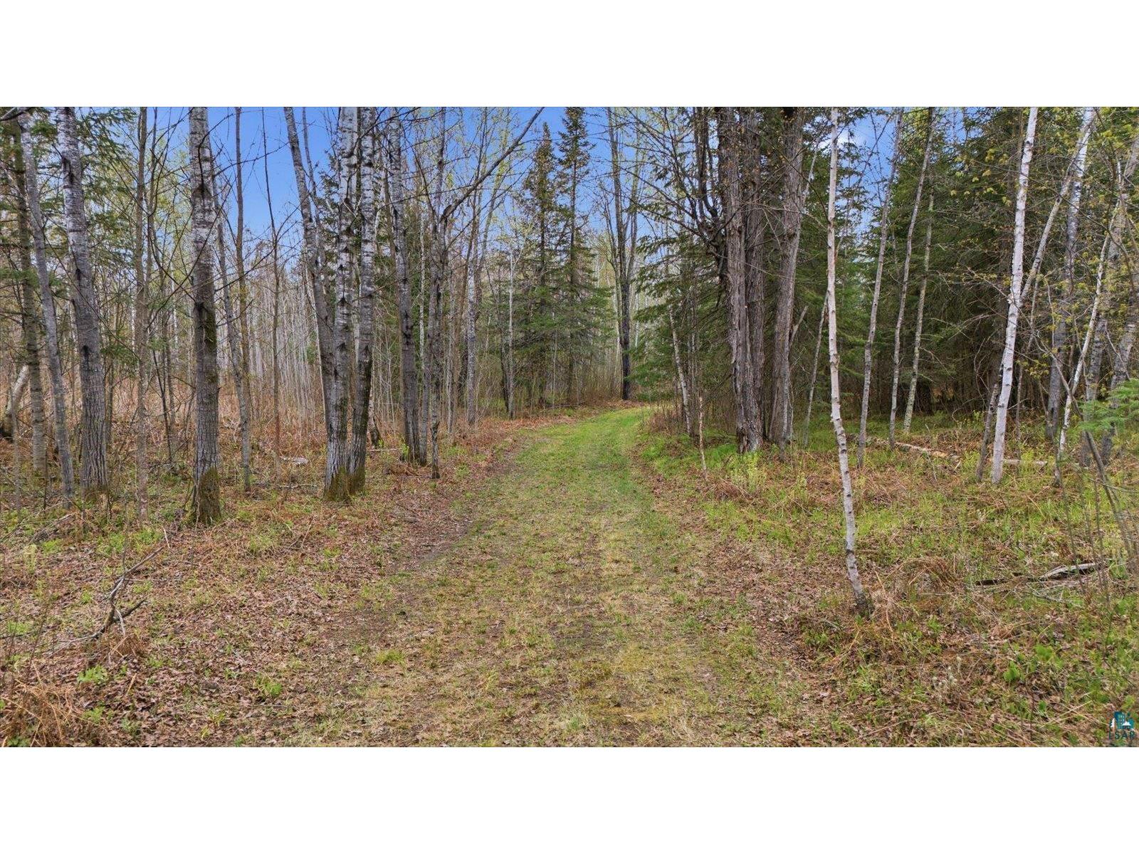 12502 Van Horn Rd Floodwood MN 55736 6126245 image38