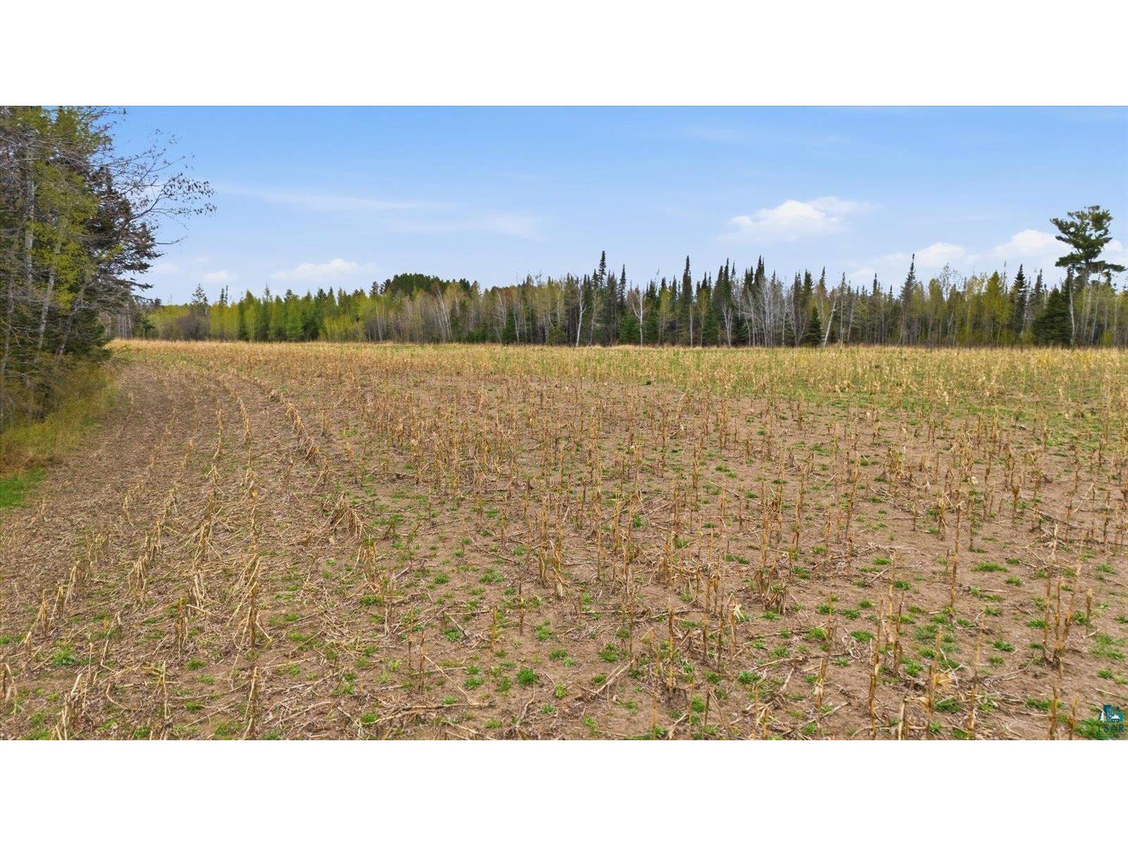 12502 Van Horn Rd Floodwood MN 55736 6126245 image43