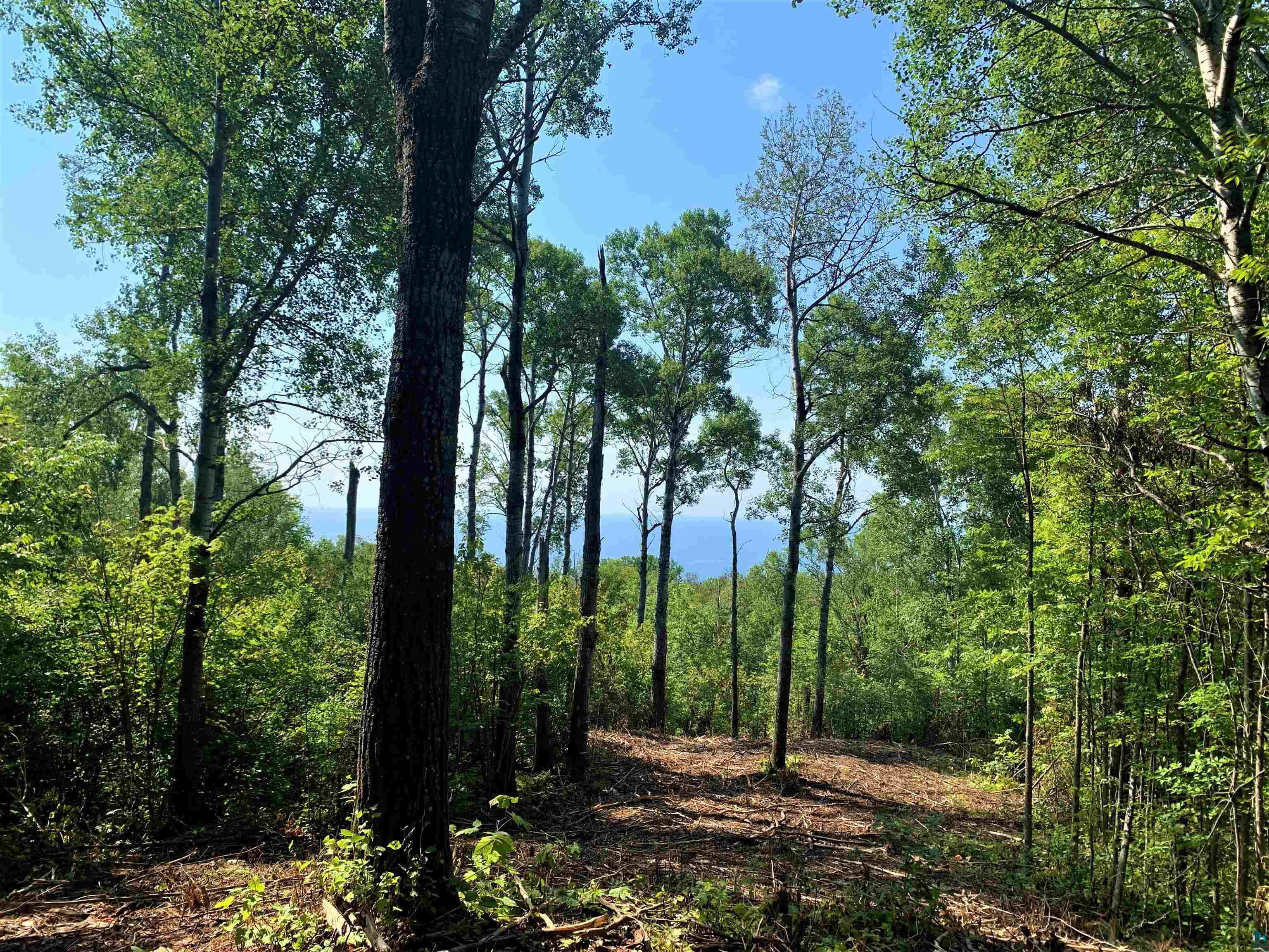 126 County Rd 6 Grand Marais MN 55604 6109786 image1