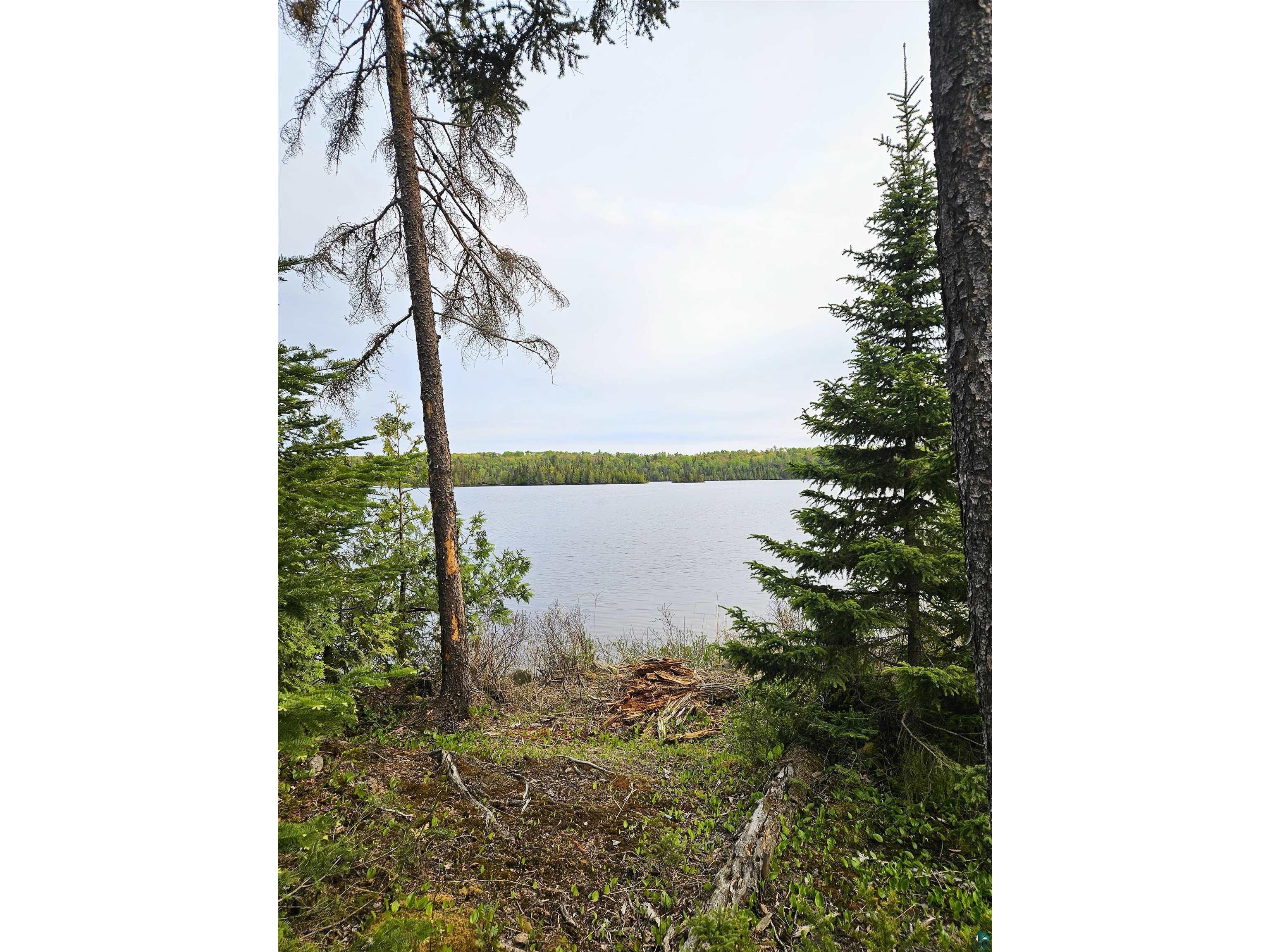 1268 Tom Lake Rd Hovland MN 55606 - Tom 6125980 image35