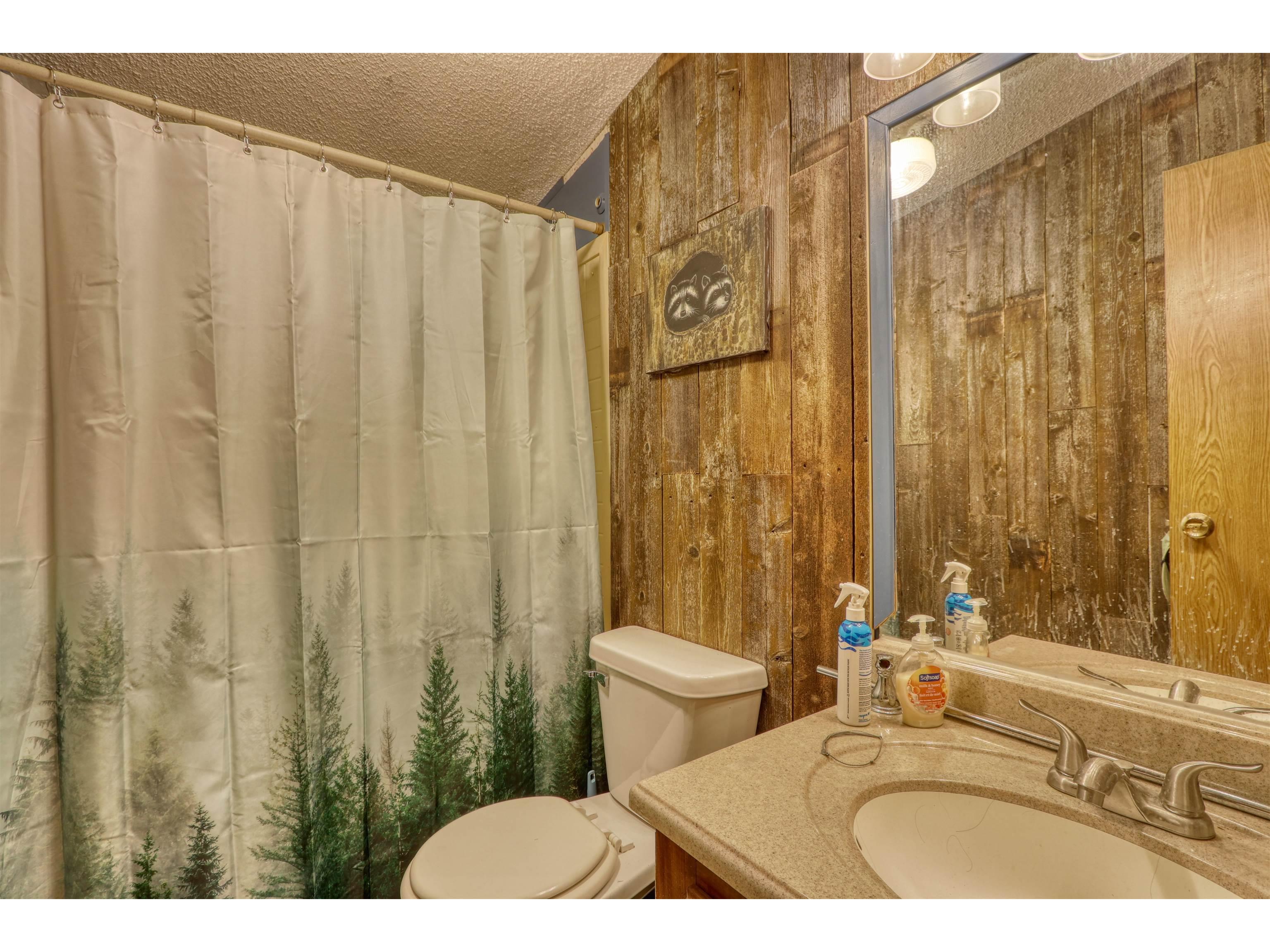 12716 N County Hwy T Hayward WI 54843 - Nelson Lake 6122023 image34