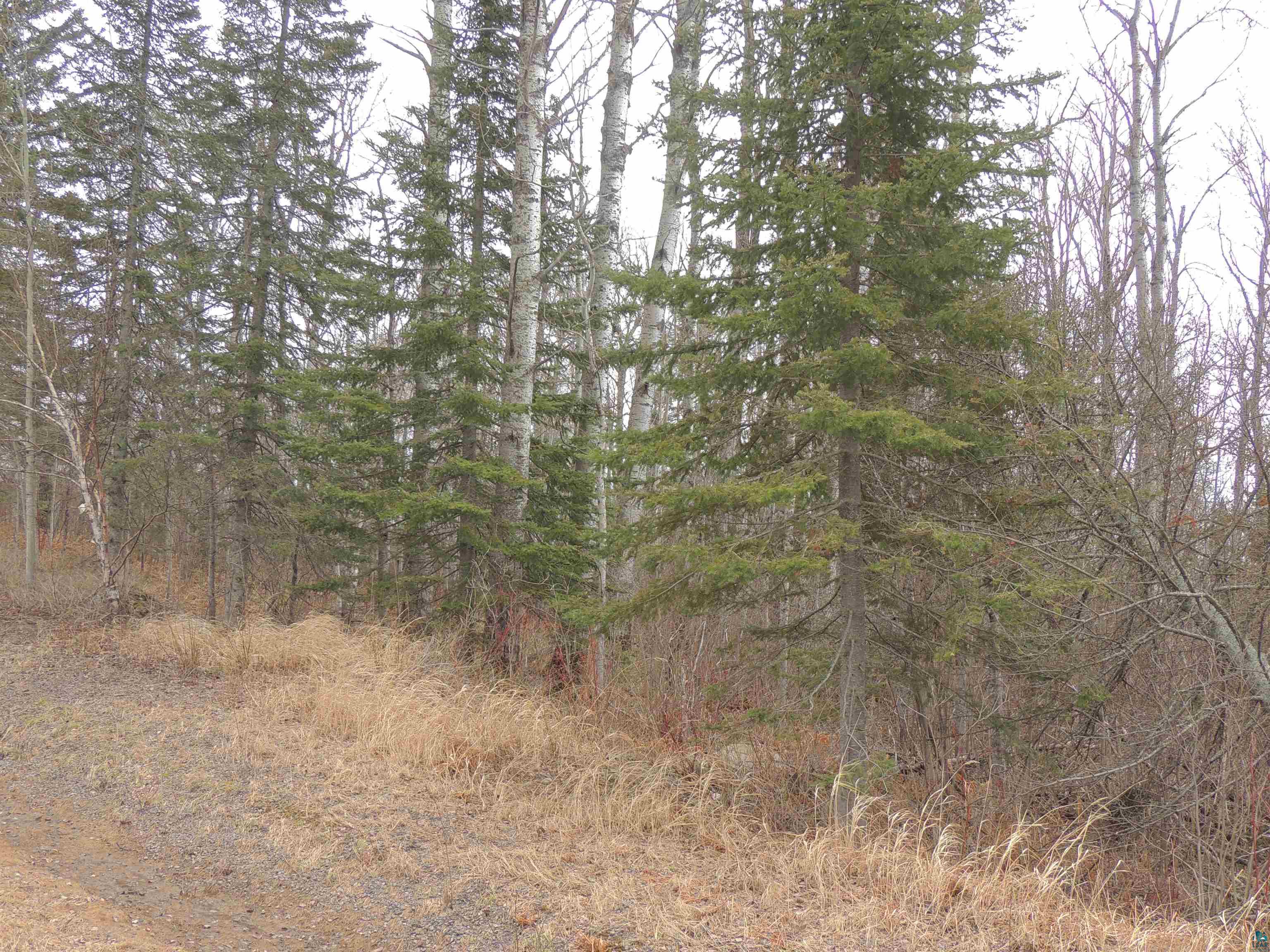 12XX Golf Course Rd Grand Marais MN 55604 - Little Devil Track 6118951 image1