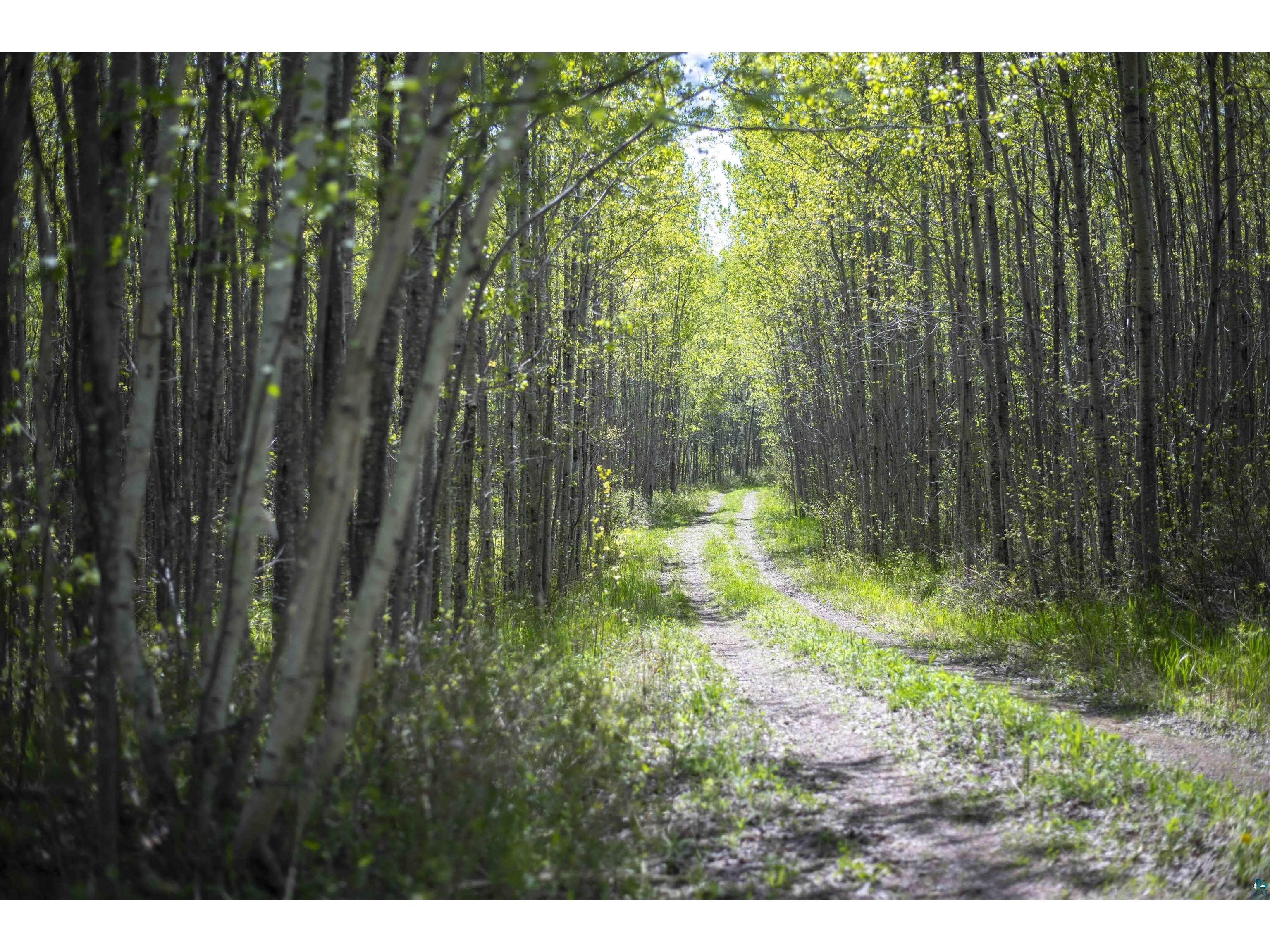 13 Coyote Ridge Grand Marais MN 55604 6125773 image1