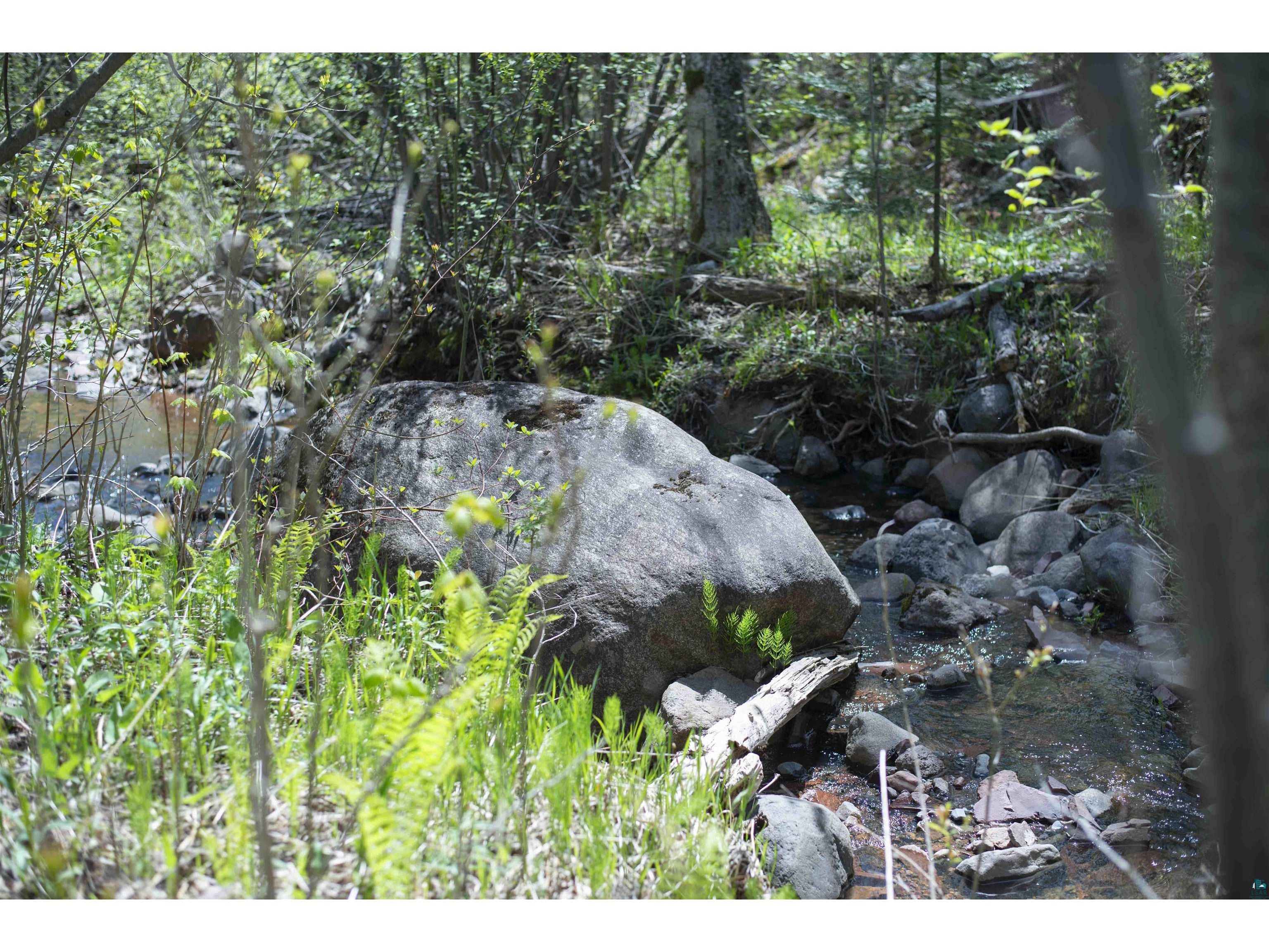 13 Coyote Ridge Grand Marais MN 55604 6125773 image12