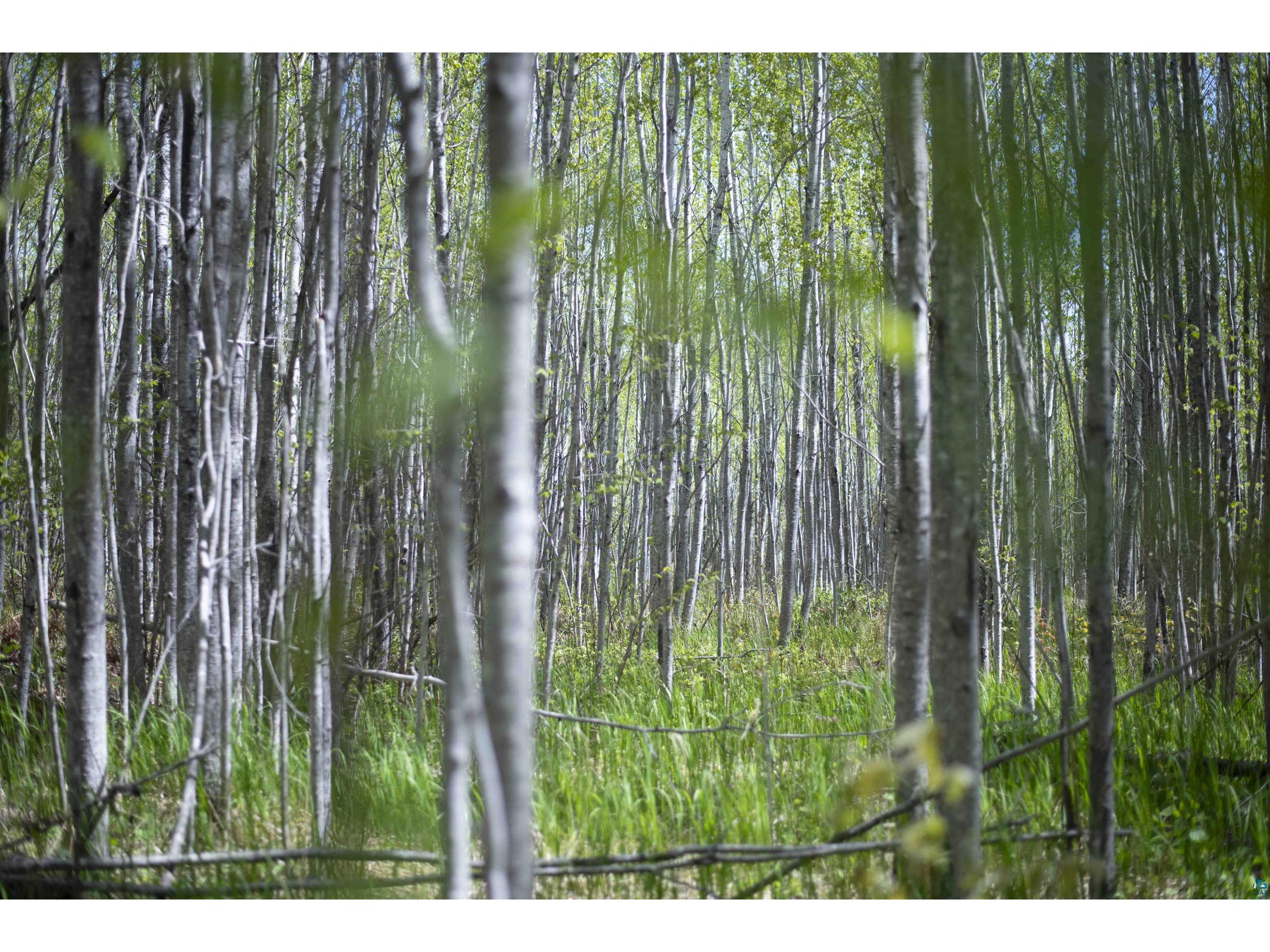 13 Coyote Ridge Grand Marais MN 55604 6125773 image2