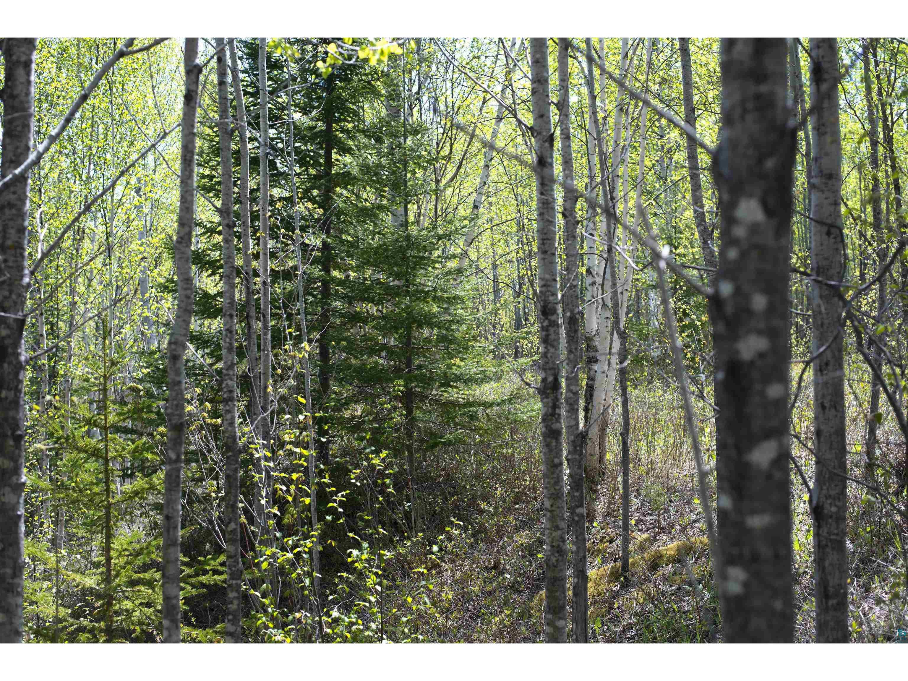 13 Coyote Ridge Grand Marais MN 55604 6125773 image20