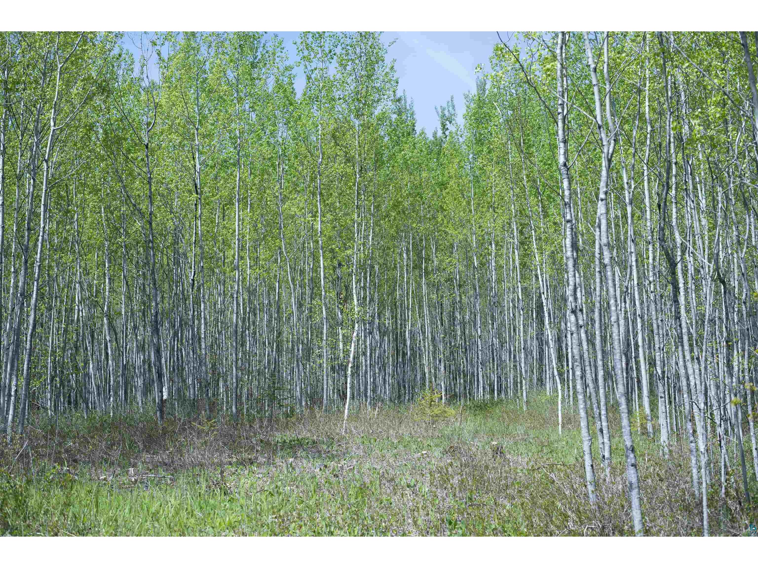 13 Coyote Ridge Grand Marais MN 55604 6125773 image23