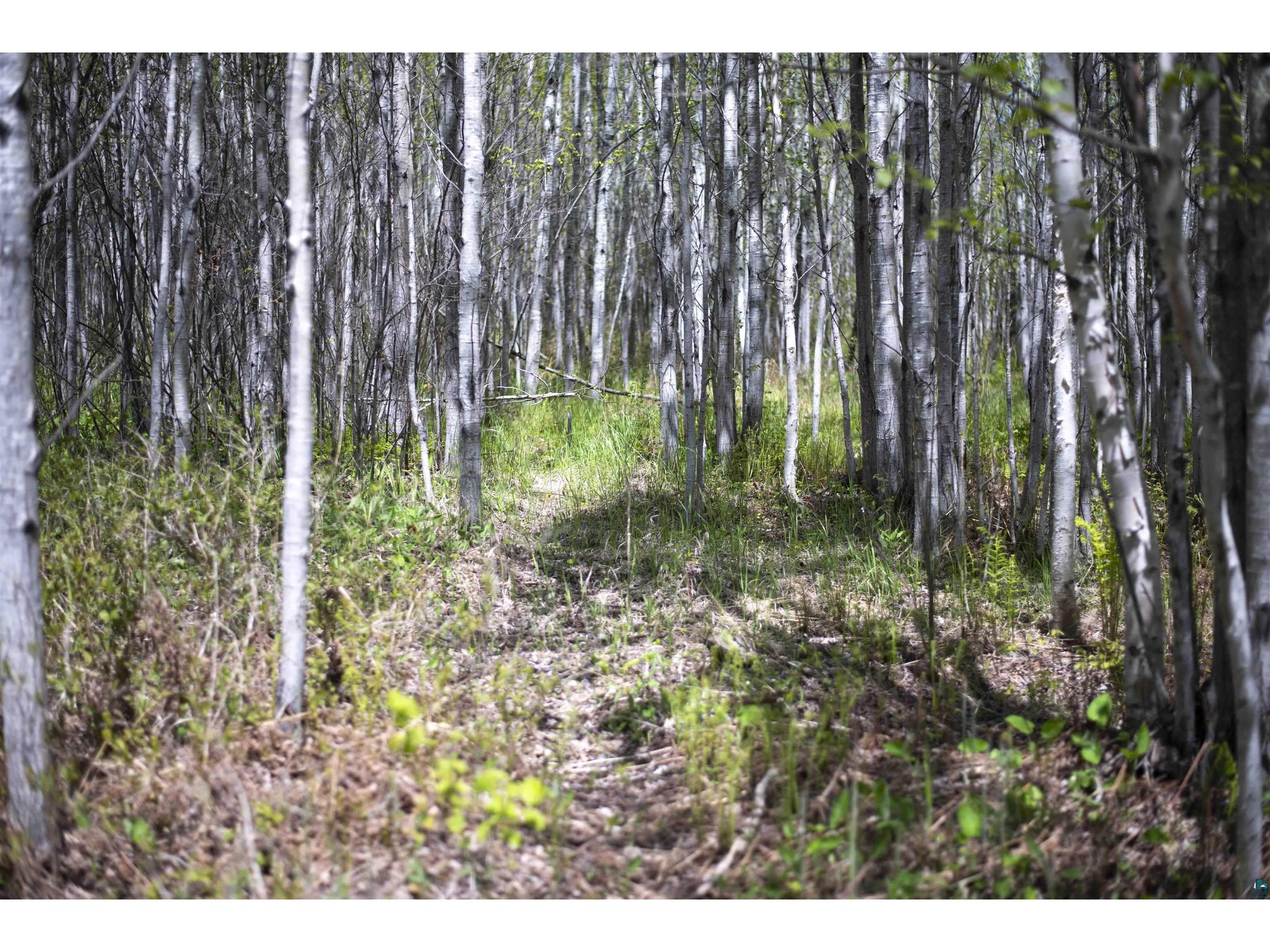 13 Coyote Ridge Grand Marais MN 55604 6125773 image24