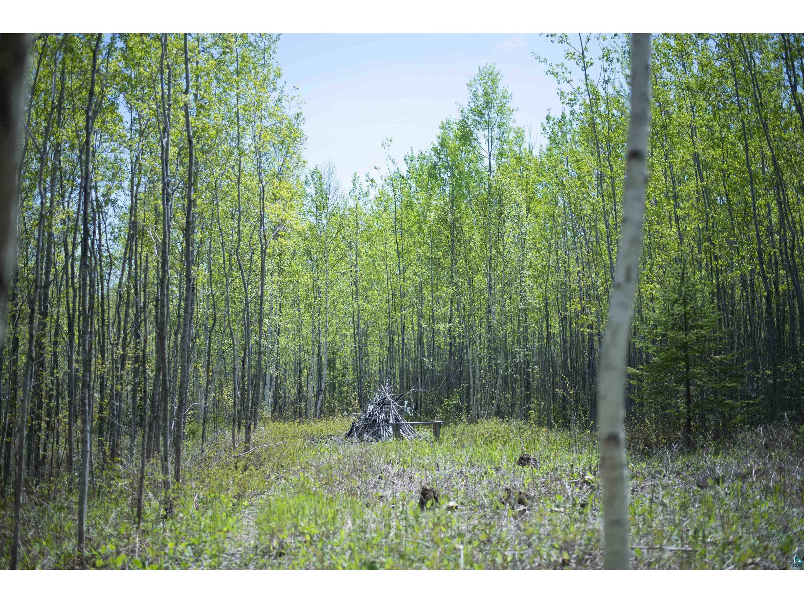 13 Coyote Ridge Grand Marais MN 55604 6125773 image25