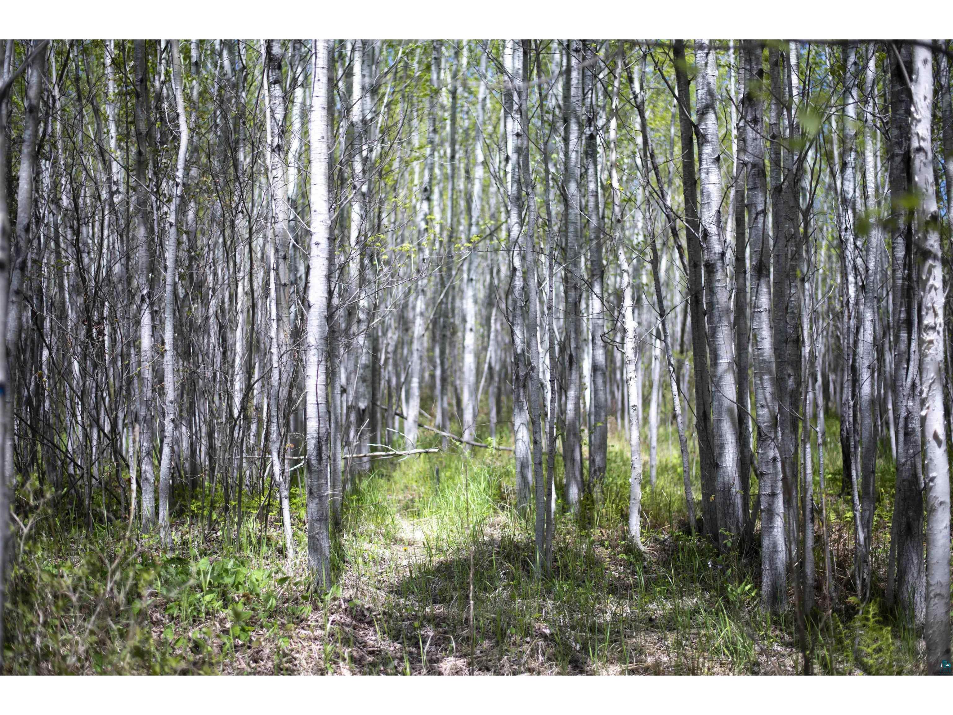 13 Coyote Ridge Grand Marais MN 55604 6125773 image26