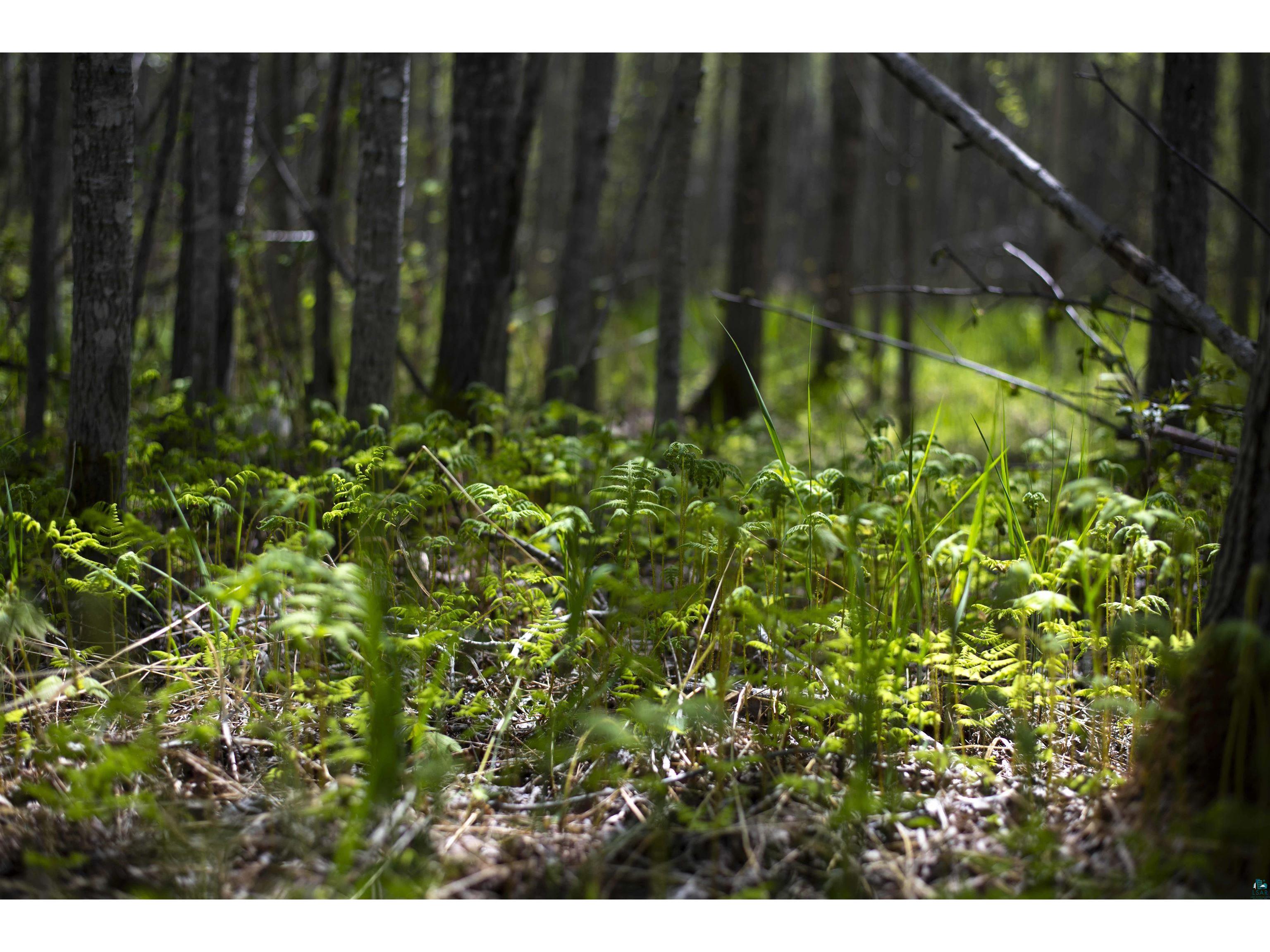 13 Coyote Ridge Grand Marais MN 55604 6125773 image28