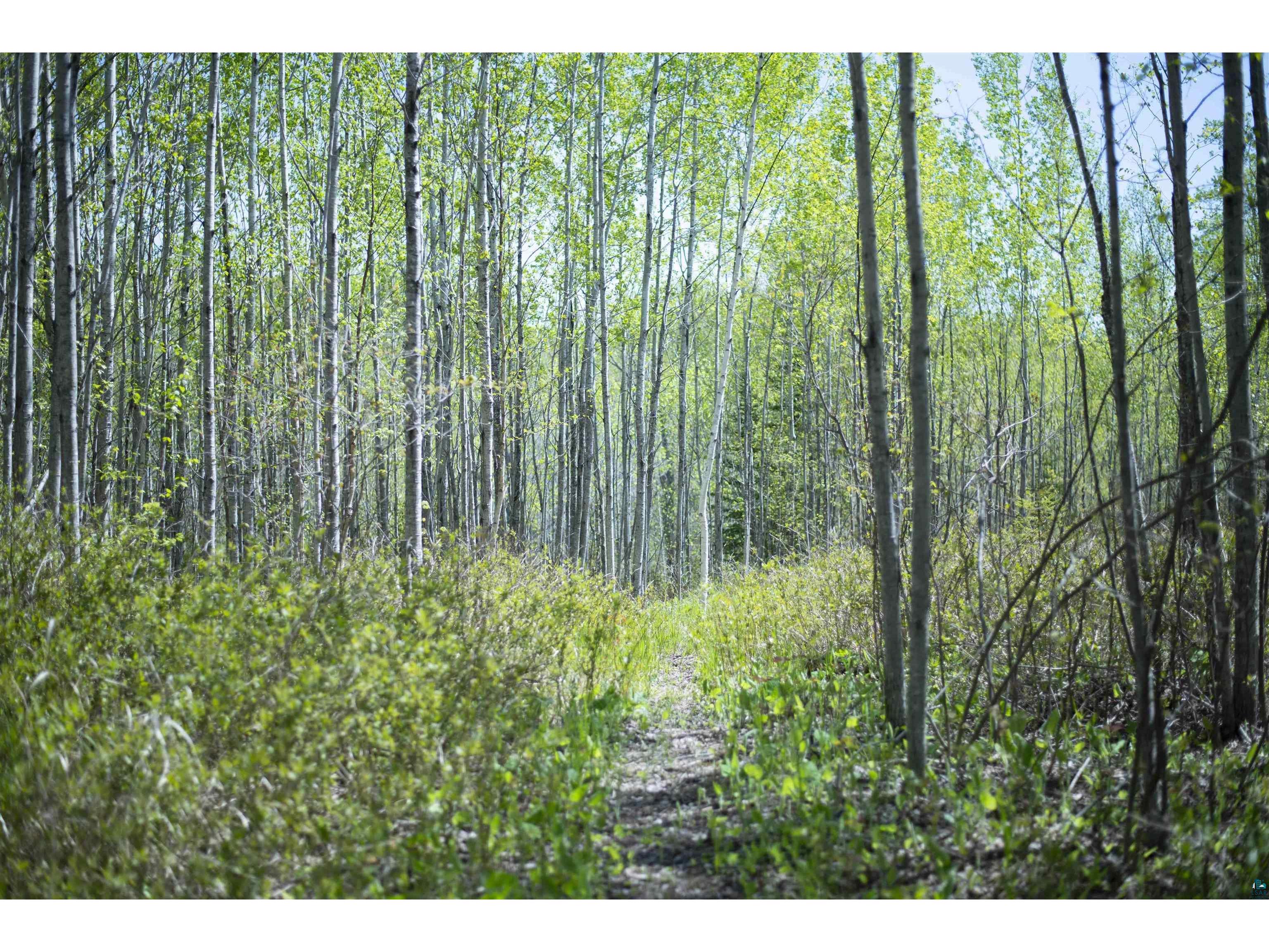 13 Coyote Ridge Grand Marais MN 55604 6125773 image3