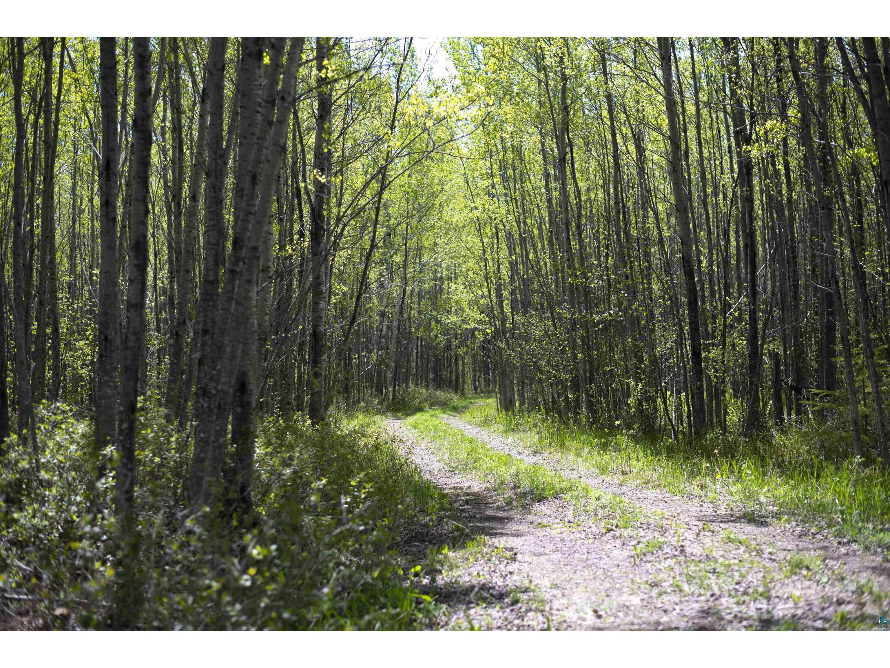 13 Coyote Ridge Grand Marais MN 55604 6125773 image30