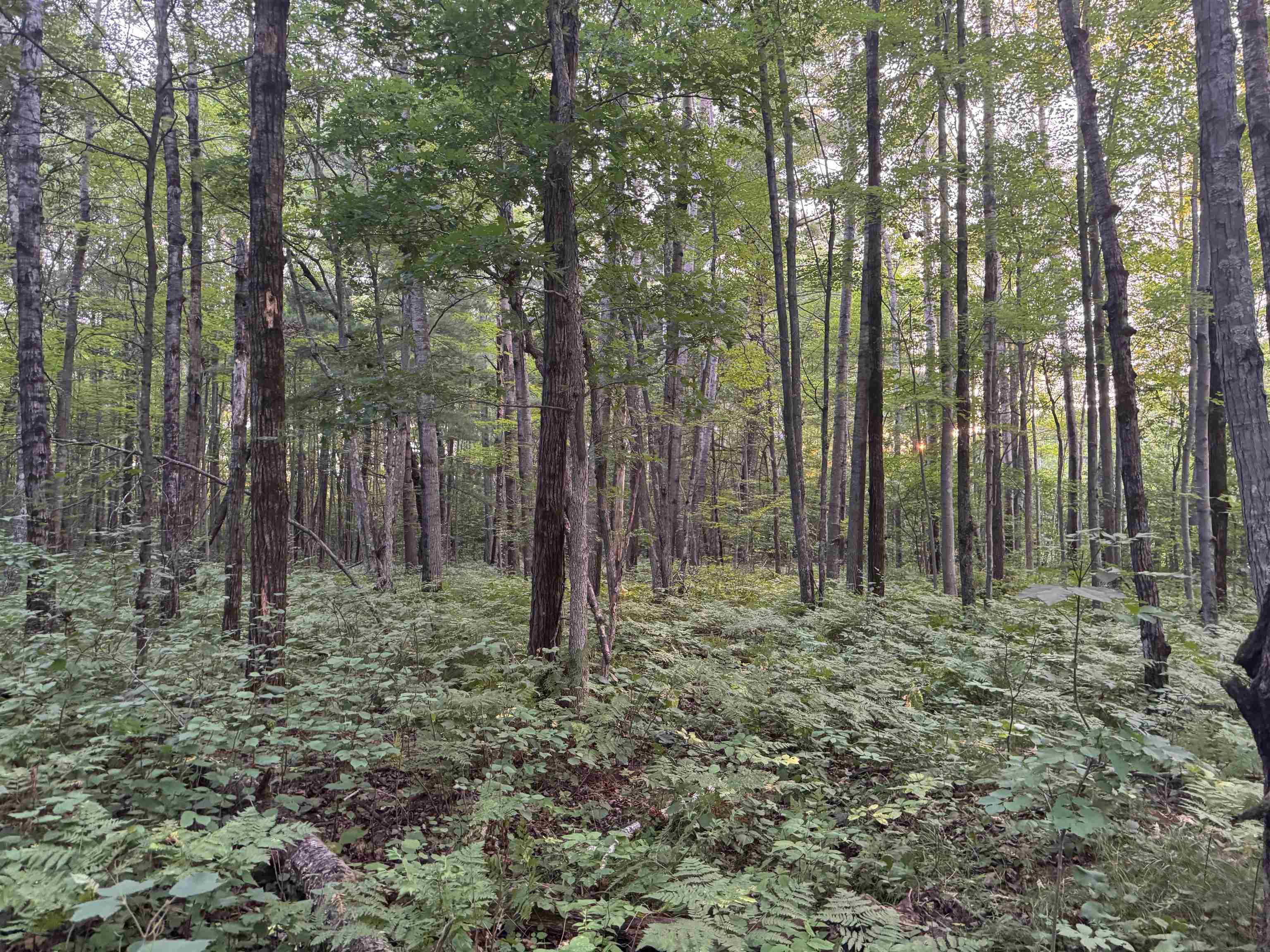 13 acres on County Rd A Spooner WI 54801 6121455 image13